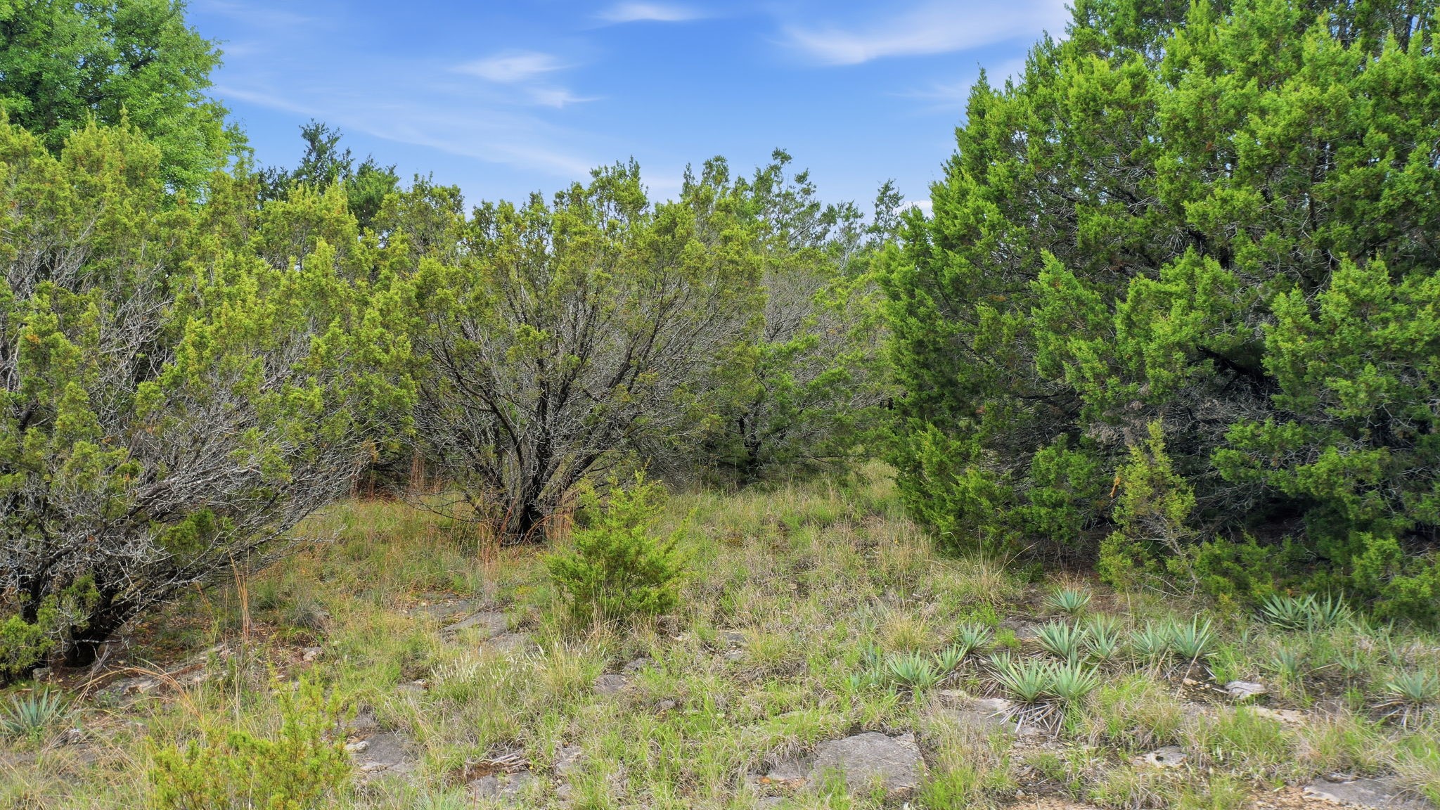 Tbd Mesa Vista Drive Lot 118 Stephenville TX 76401