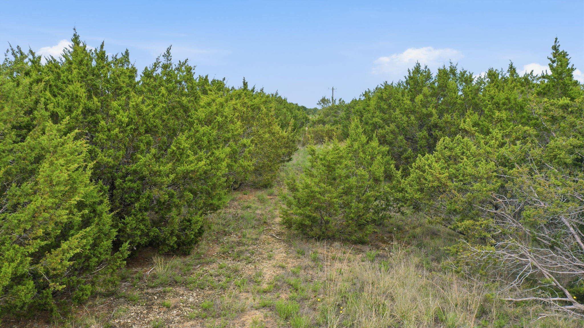 Tbd Mesa Vista Drive Lot 118 Stephenville TX 76401