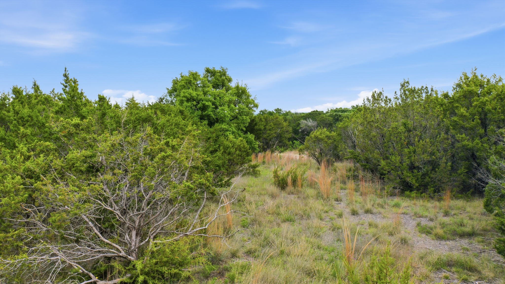 Tbd Mesa Vista Drive Lot 118 Stephenville TX 76401