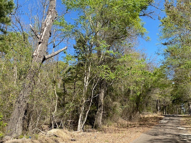Tbd Broad Meadow Murchison TX 75778