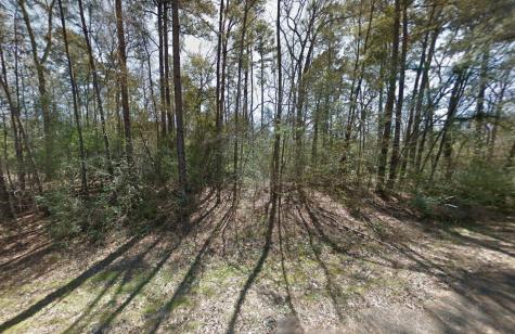 11760 Long Tree Lane TX 77303