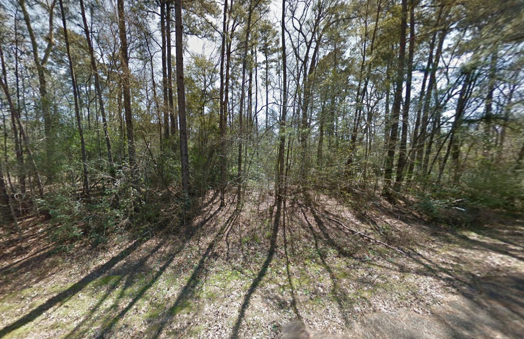 11760 Long Tree Lane TX 77303