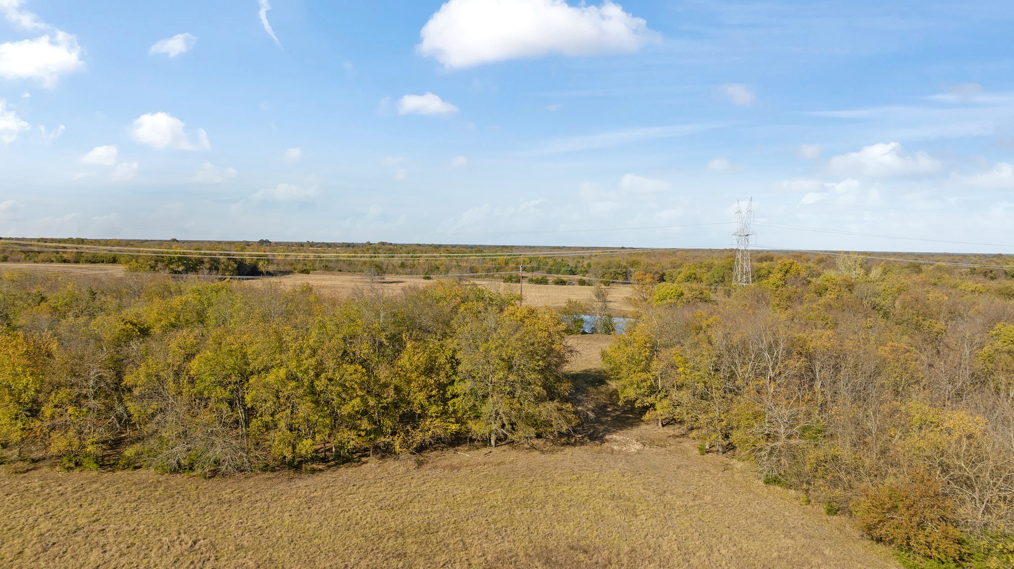 000 Cr 36010 Honey Grove TX 75446