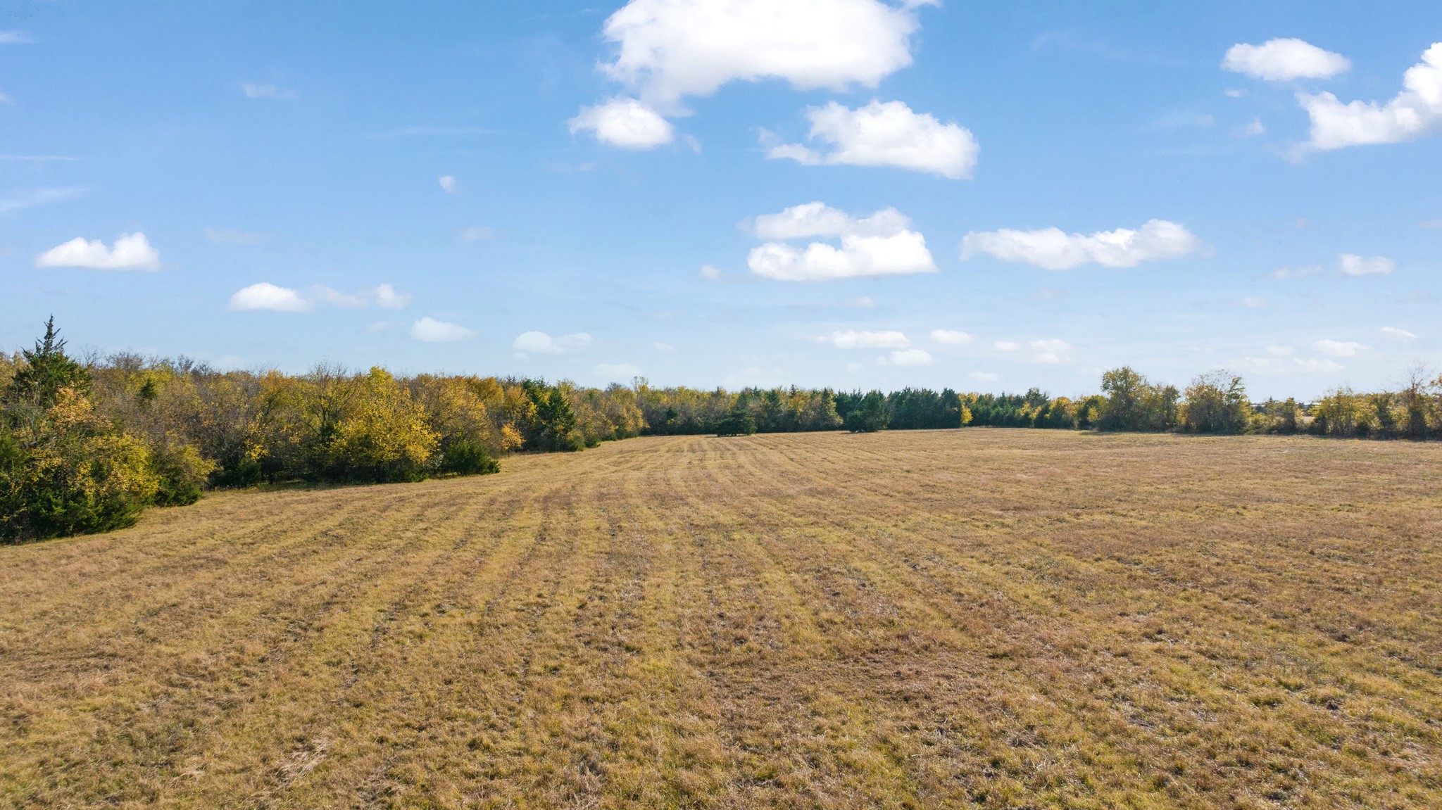 000 Cr 36010 Honey Grove TX 75446