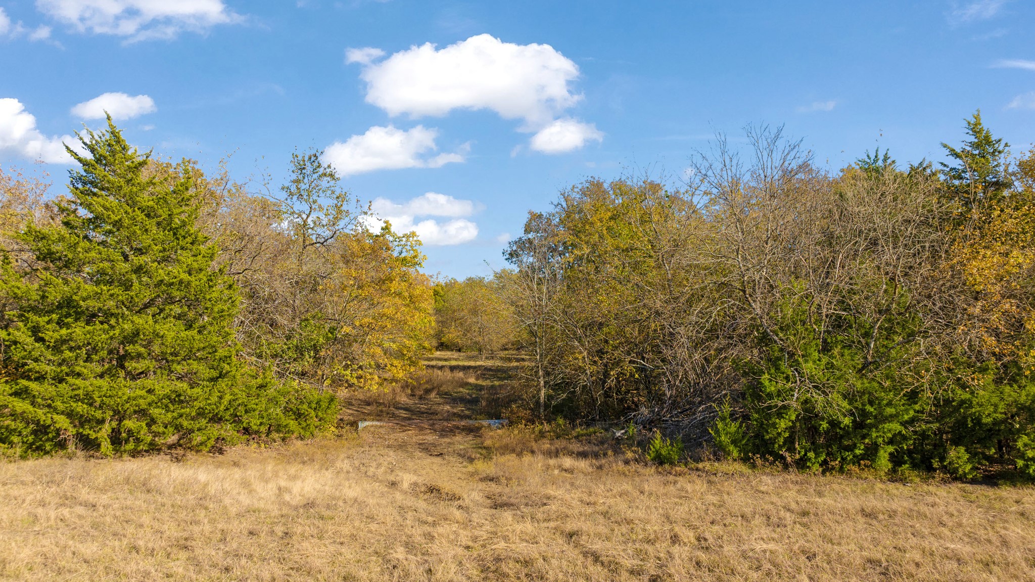 000 Cr 36010 Honey Grove TX 75446