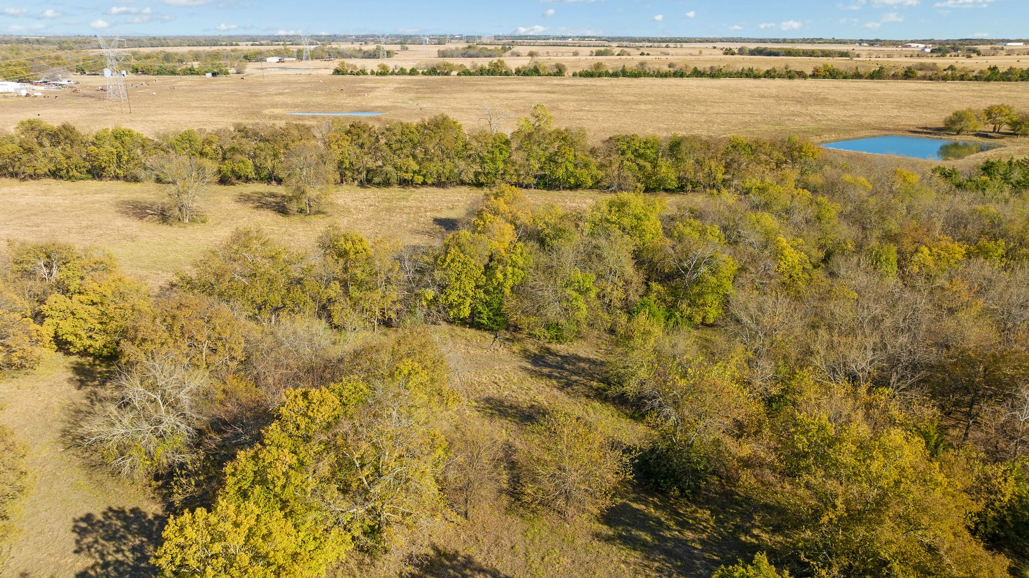 000 Cr 36010 Honey Grove TX 75446