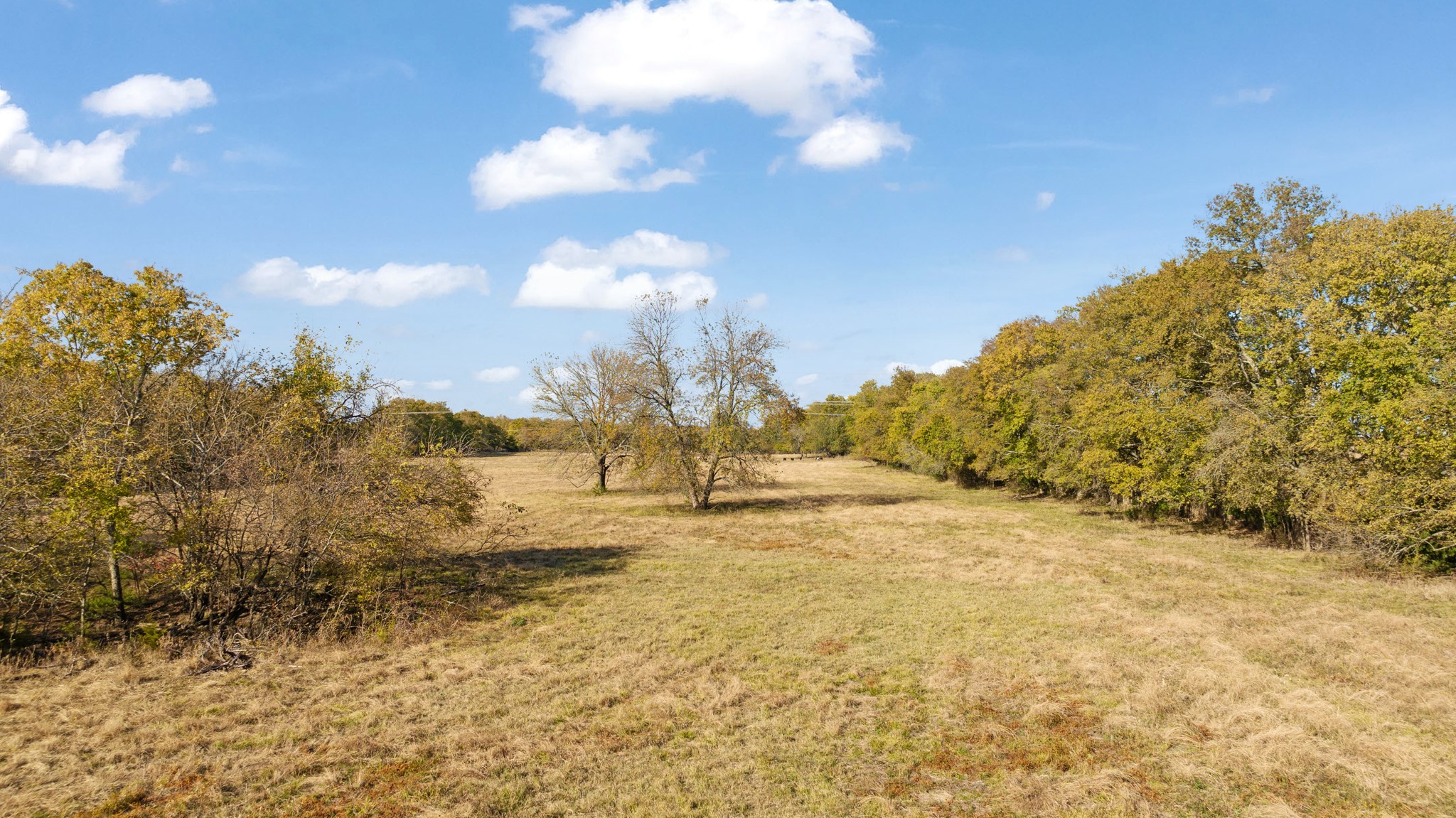 000 Cr 36010 Honey Grove TX 75446