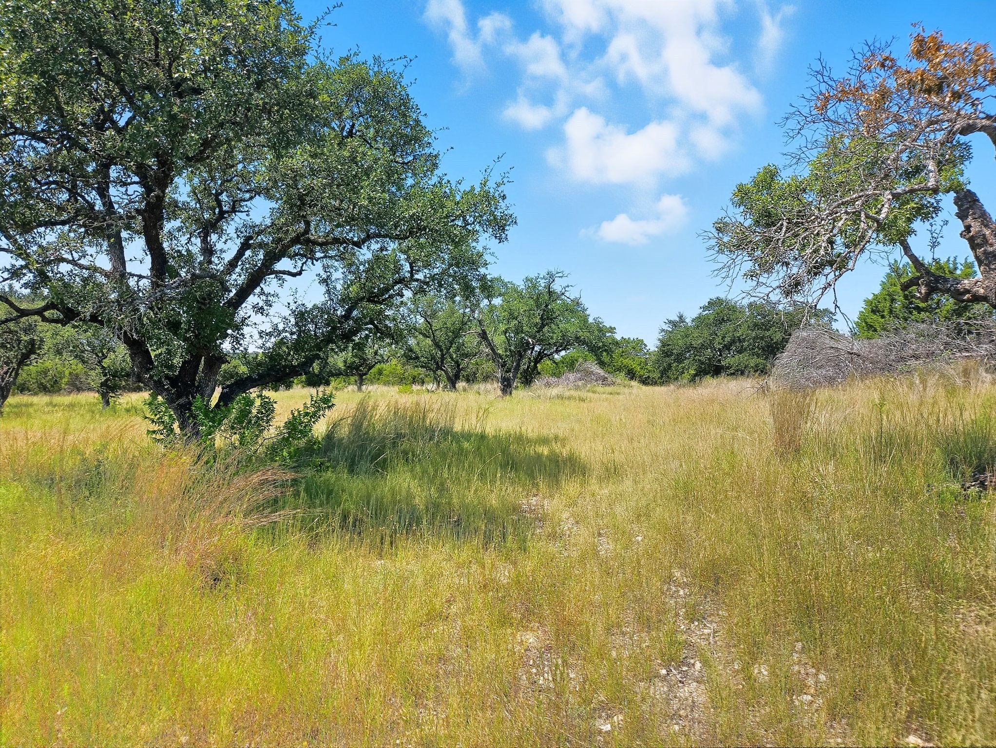 Lot 110 Phase 6 Pr 42102 Evant TX 76525
