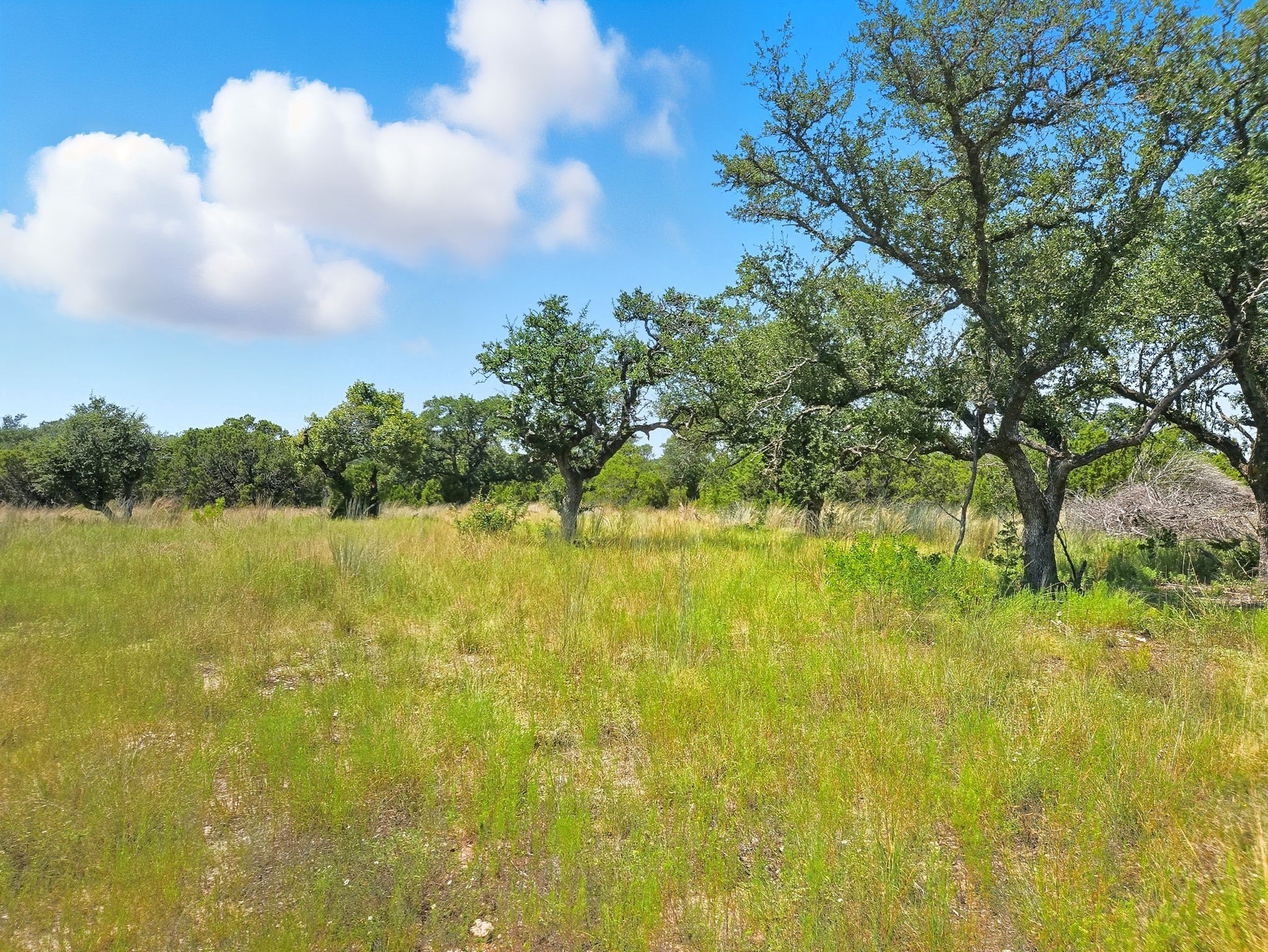 Lot 110 Phase 6 Pr 42102 Evant TX 76525