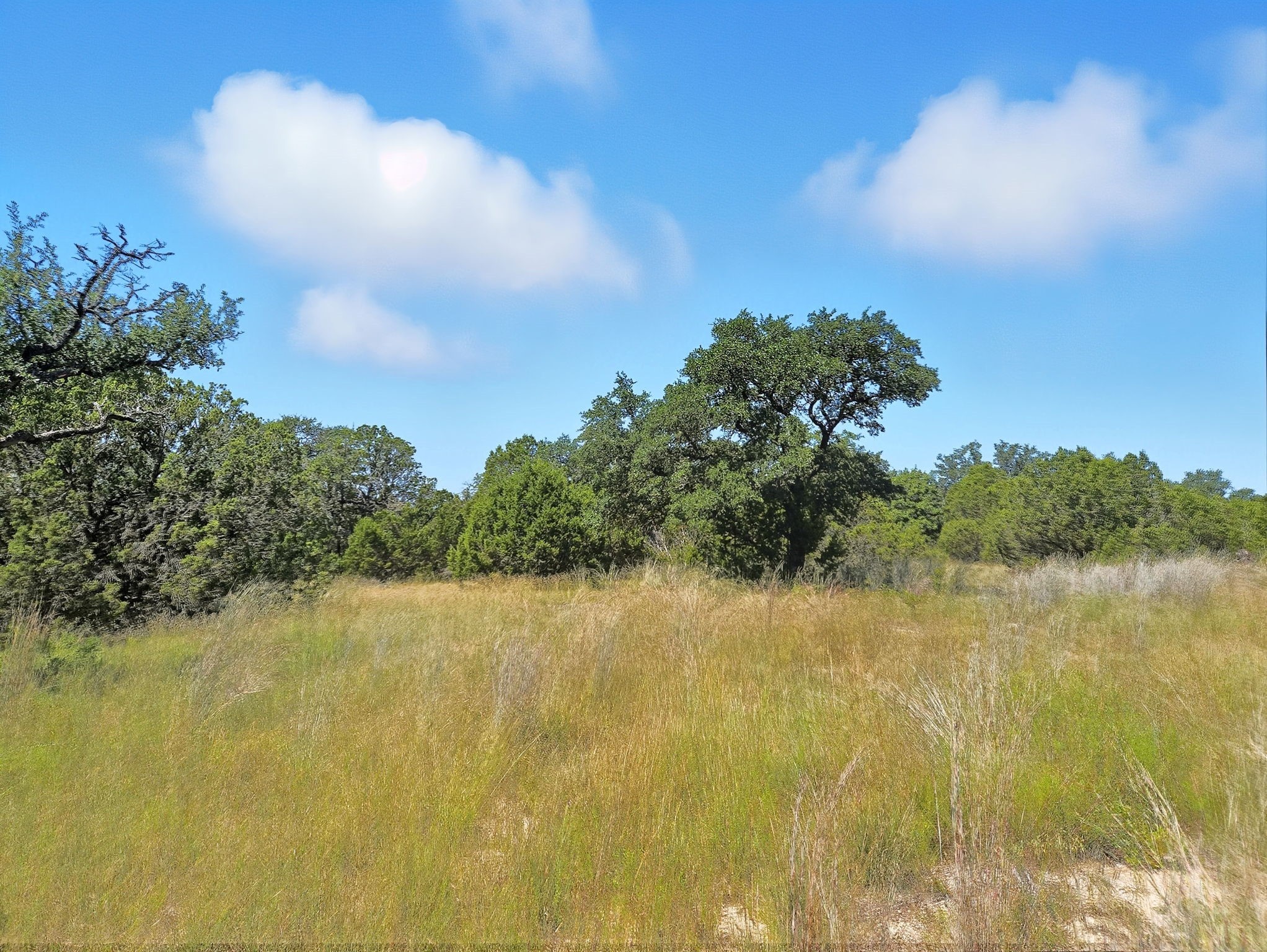 Lot 110 Phase 6 Pr 42102 Evant TX 76525