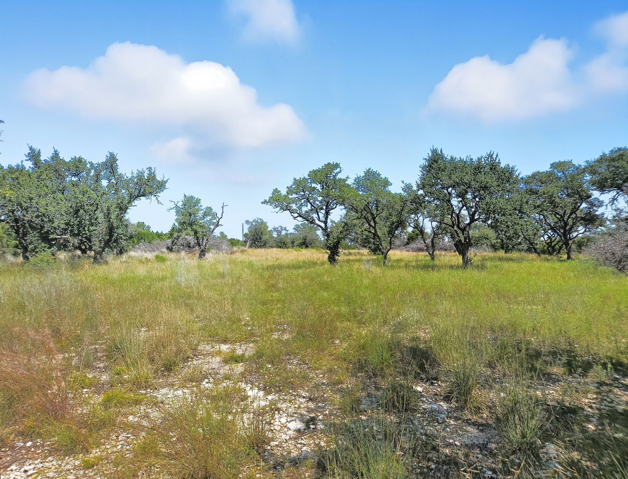 Lot 110 Phase 6 Pr 42102 Evant TX 76525