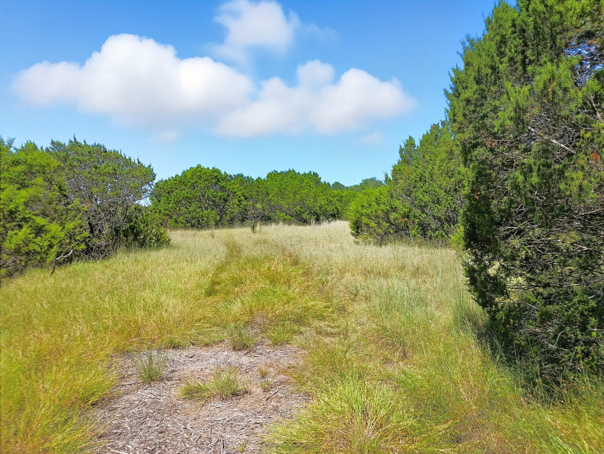 Lot 110 Phase 6 Pr 42102 Evant TX 76525