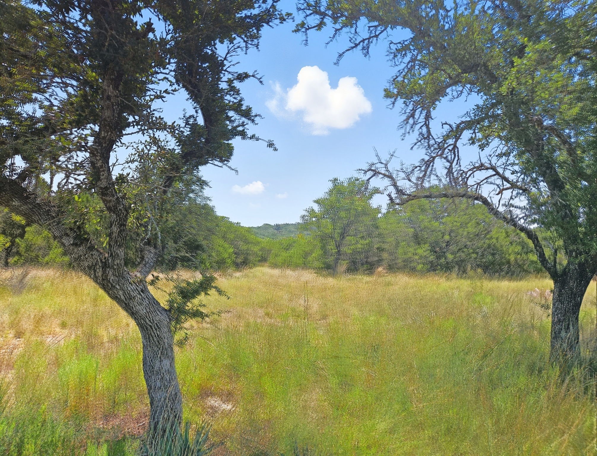 Lot 110 Phase 6 Pr 42102 Evant TX 76525