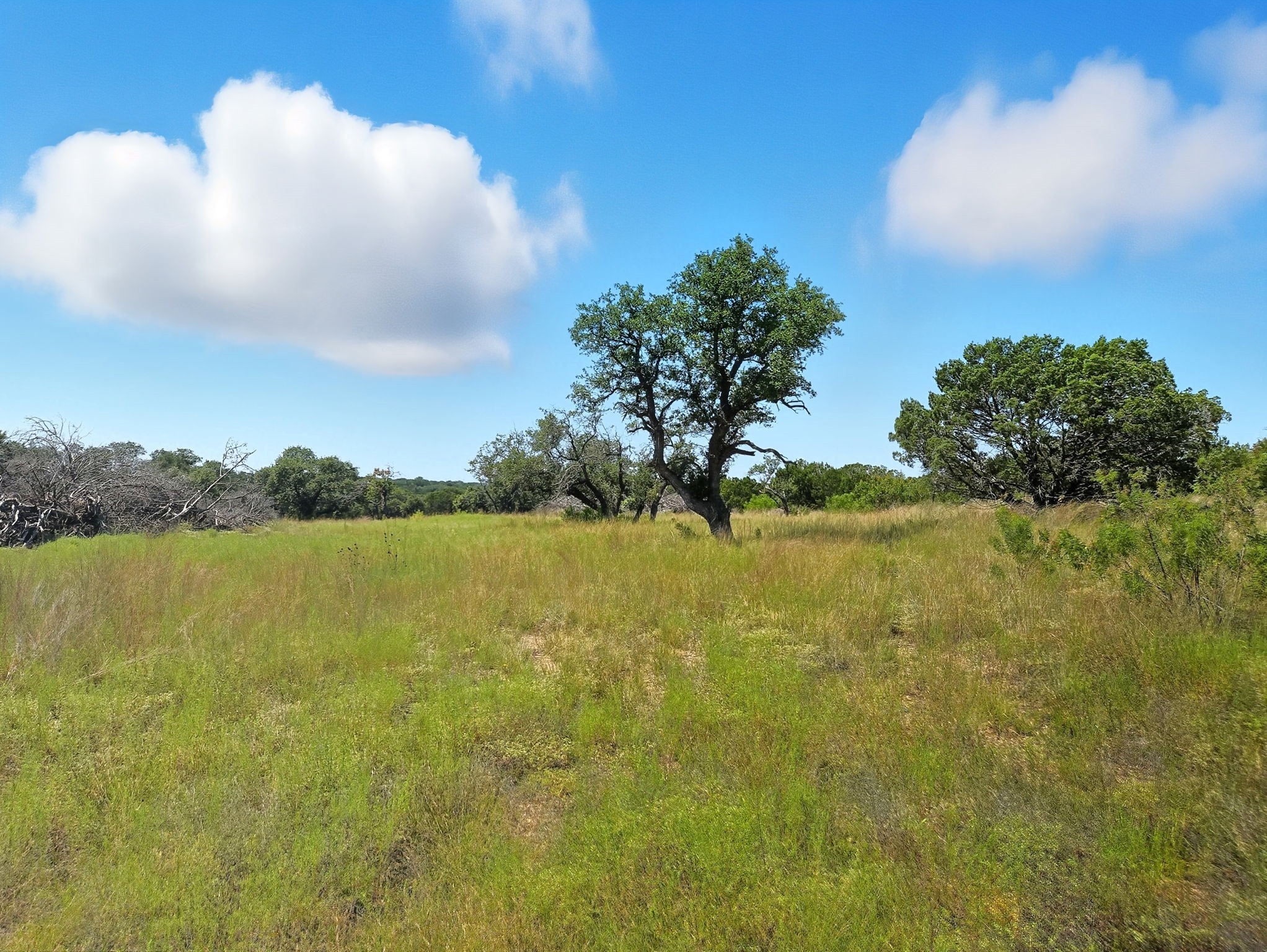 Lot 110 Phase 6 Pr 42102 Evant TX 76525