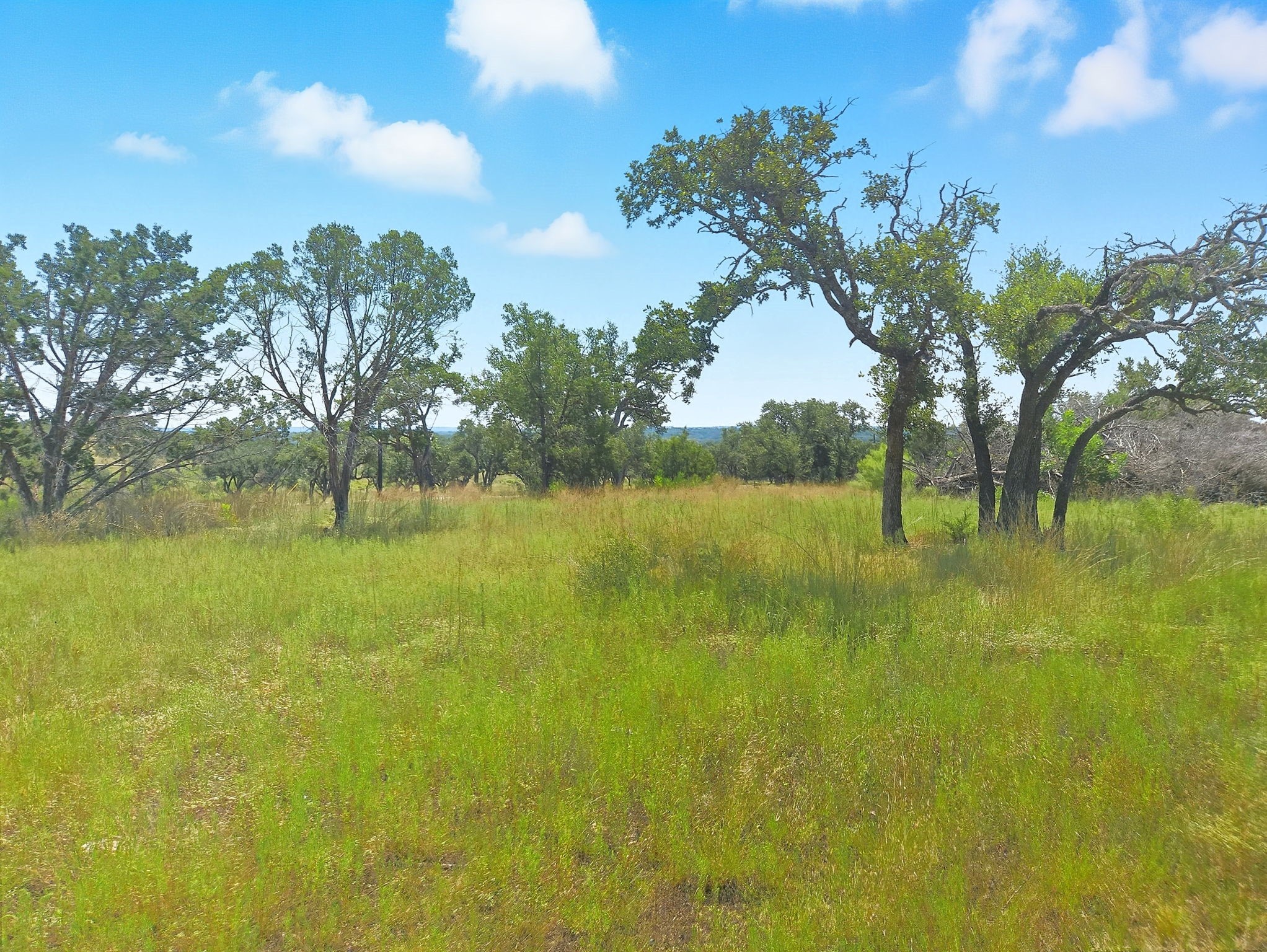Lot 110 Phase 6 Pr 42102 Evant TX 76525