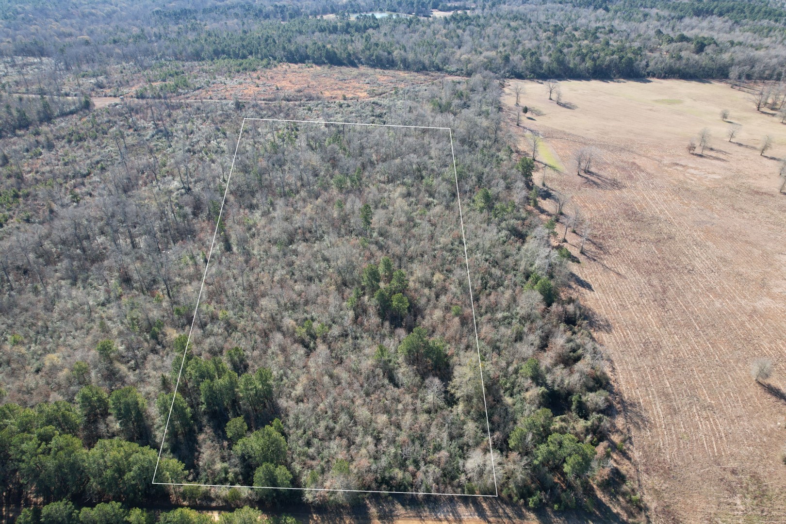 Tbd-c County Road 4021 Timpson TX 75975