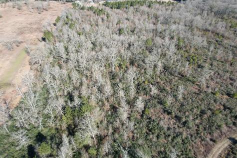 Tbd-c County Road 4021 Timpson TX 75975