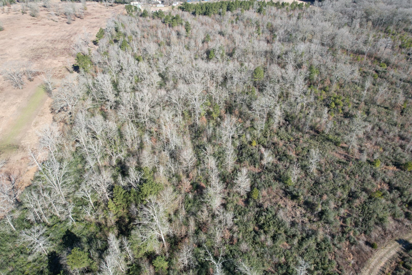 Tbd-c County Road 4021 Timpson TX 75975