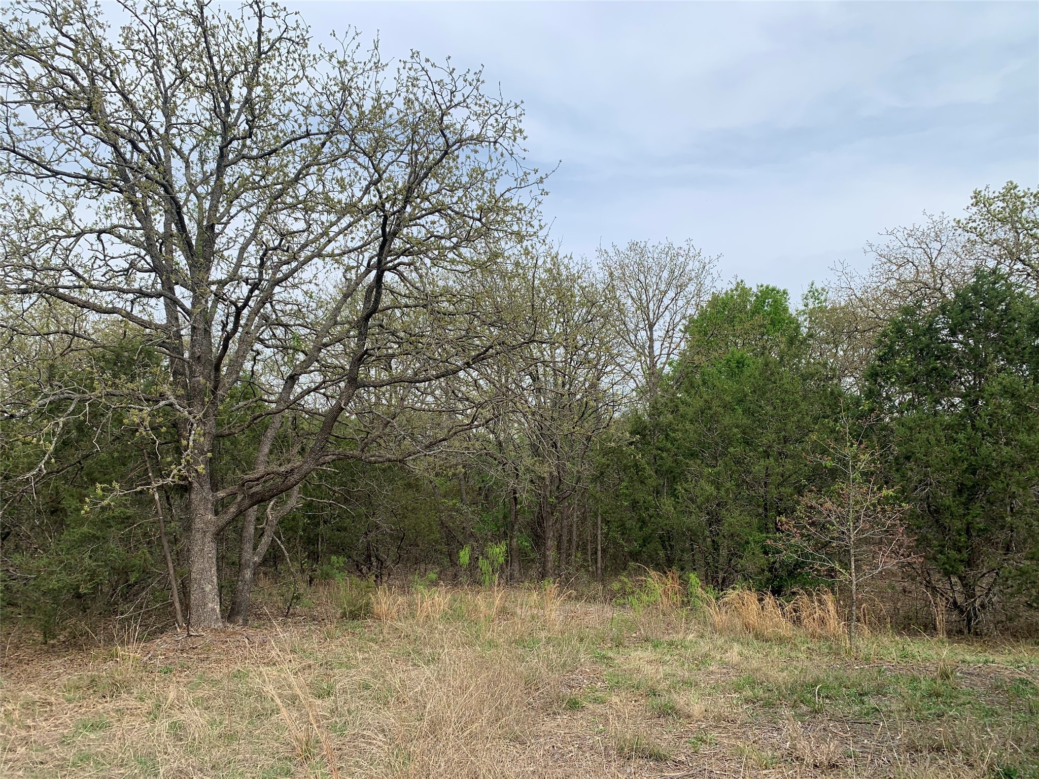 1039 Creek Crossing Road Nemo TX 76070