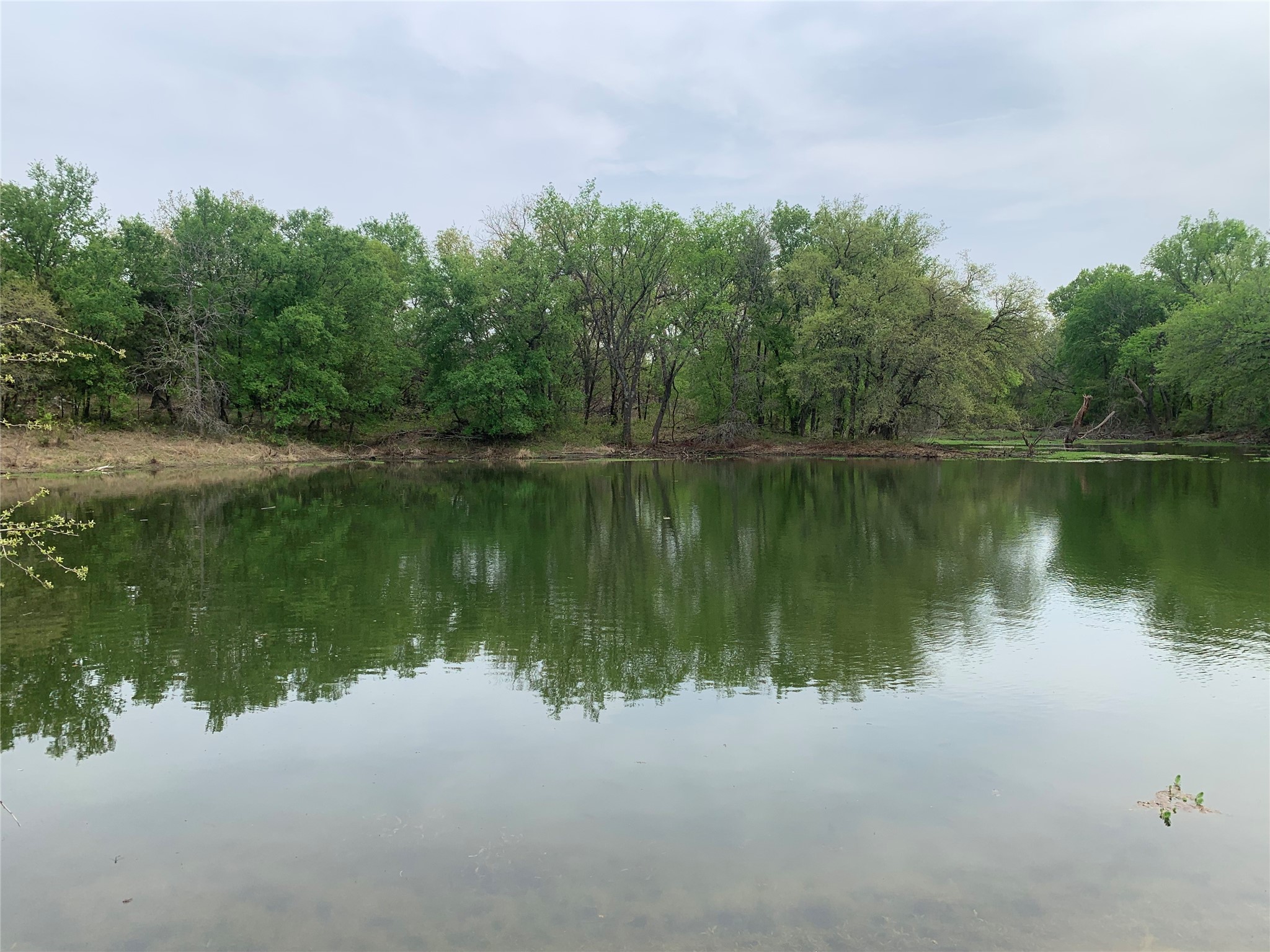 1039 Creek Crossing Road Nemo TX 76070