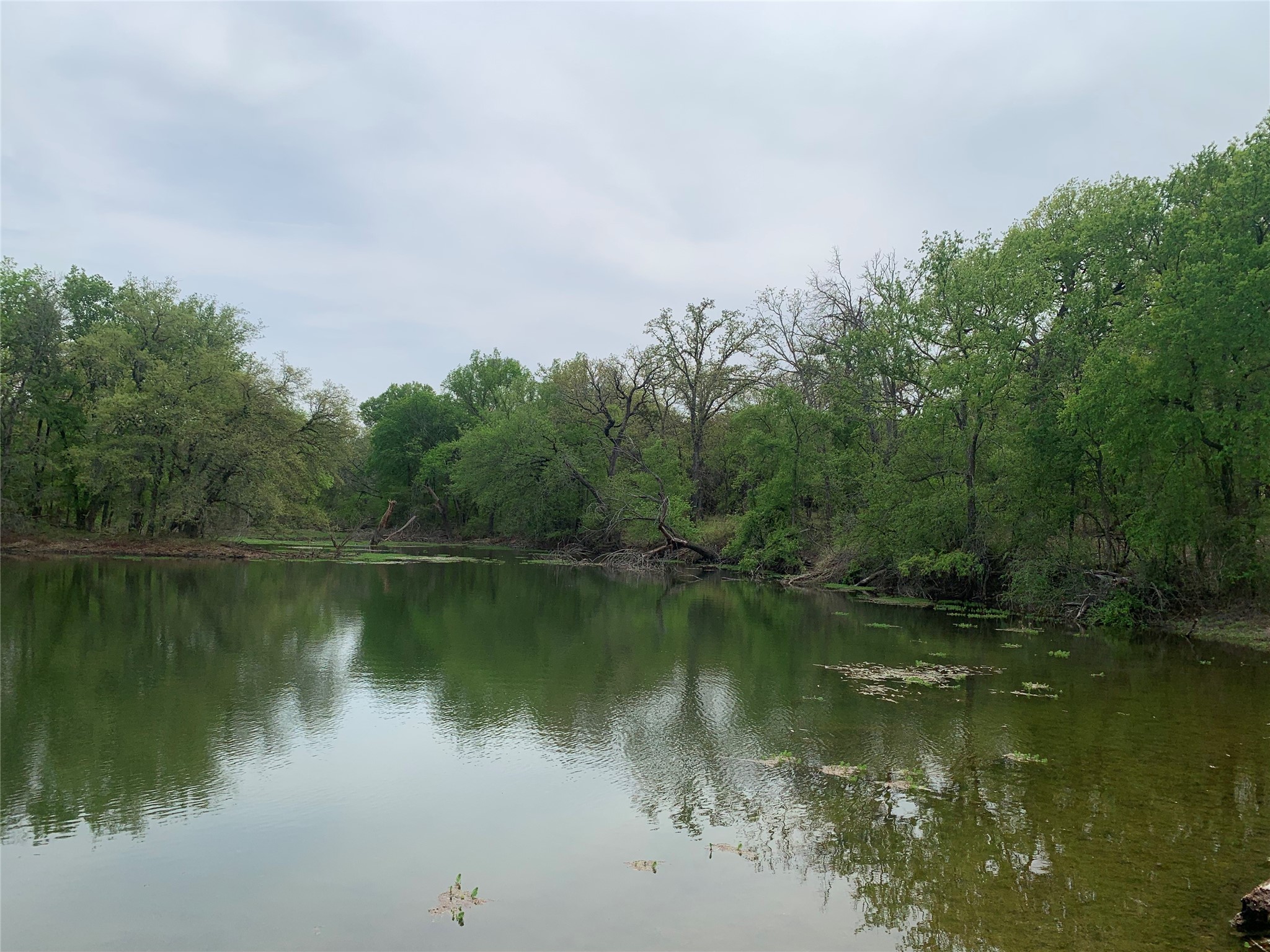 1039 Creek Crossing Road Nemo TX 76070