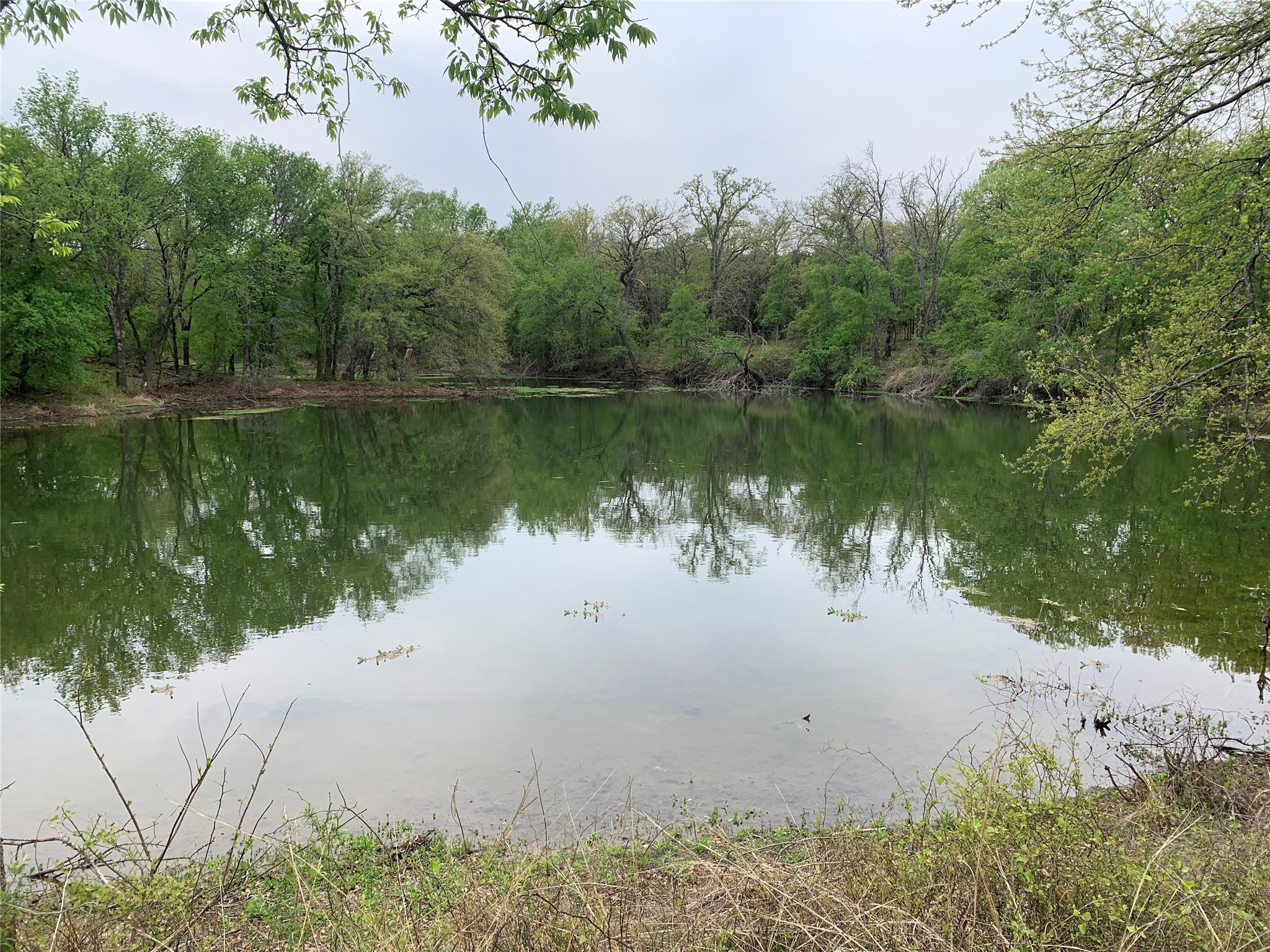 1039 Creek Crossing Road Nemo TX 76070