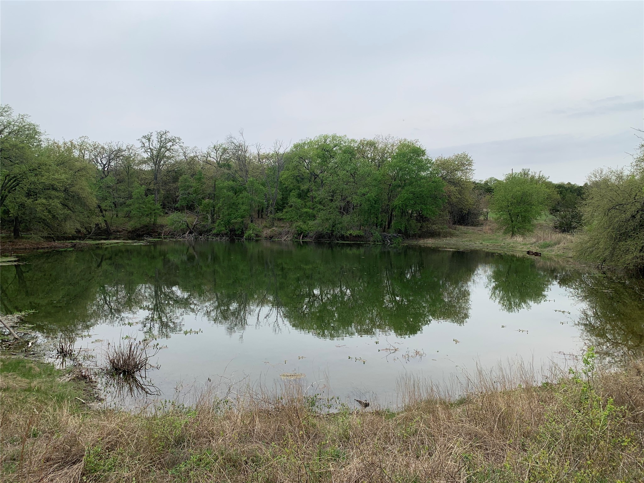 1039 Creek Crossing Road Nemo TX 76070