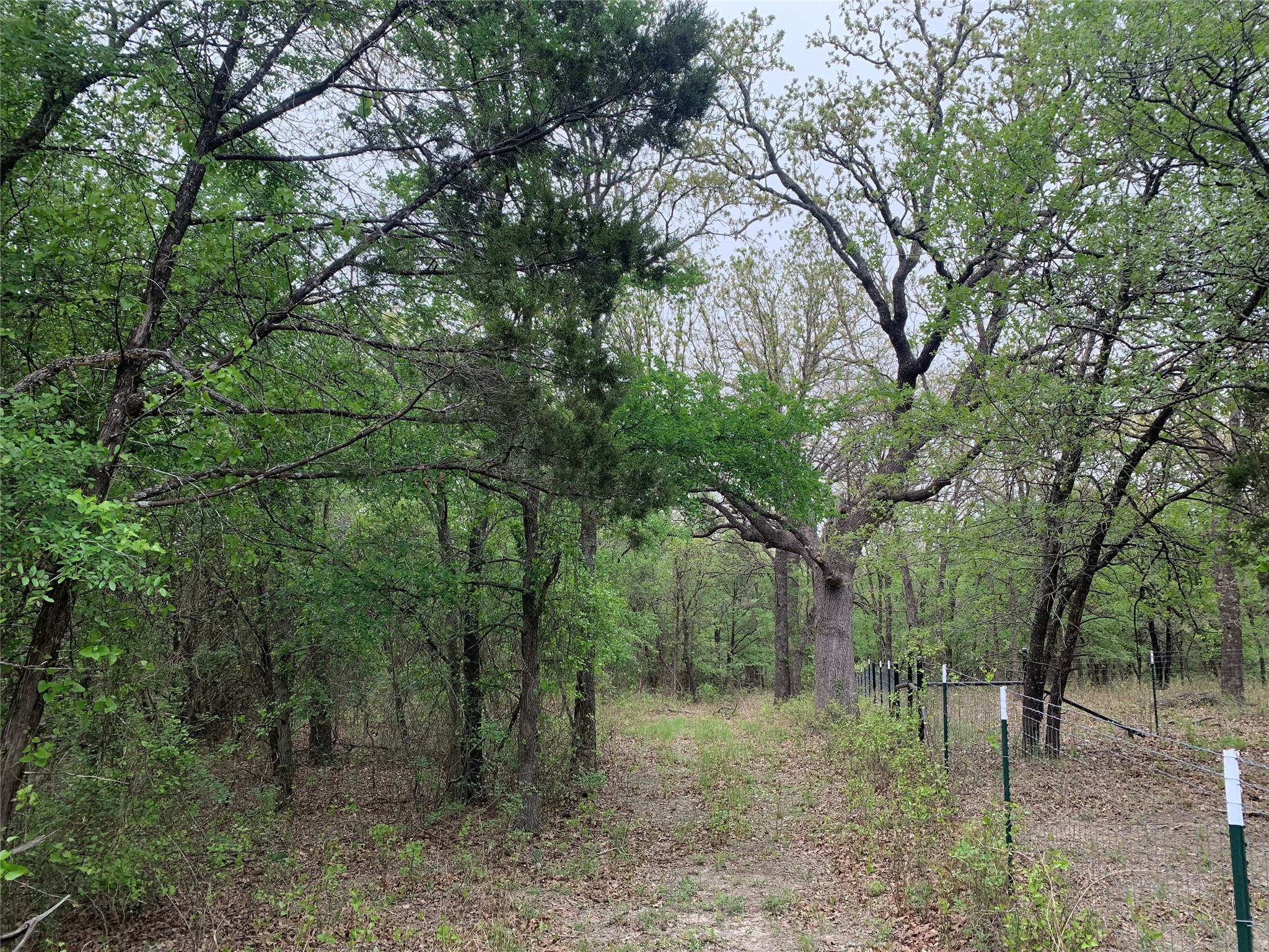 1039 Creek Crossing Road Nemo TX 76070