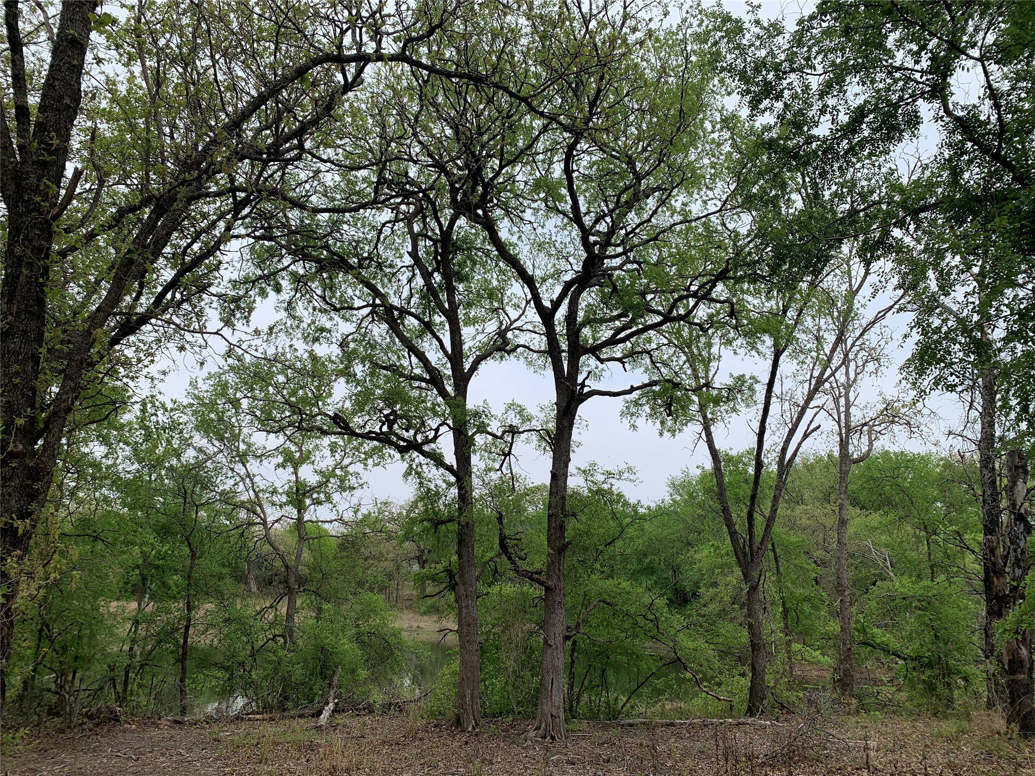 1039 Creek Crossing Road Nemo TX 76070