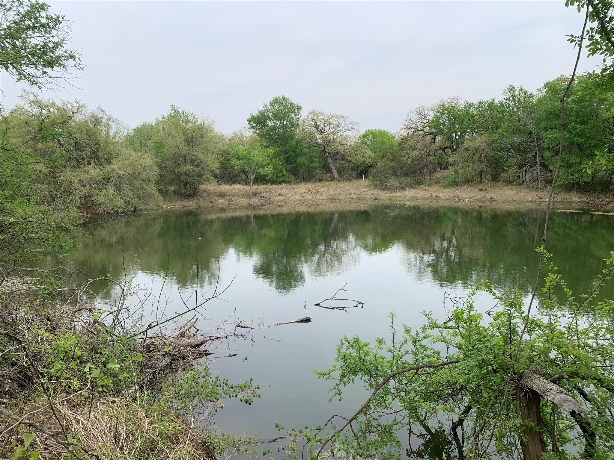 1039 Creek Crossing Road Nemo TX 76070