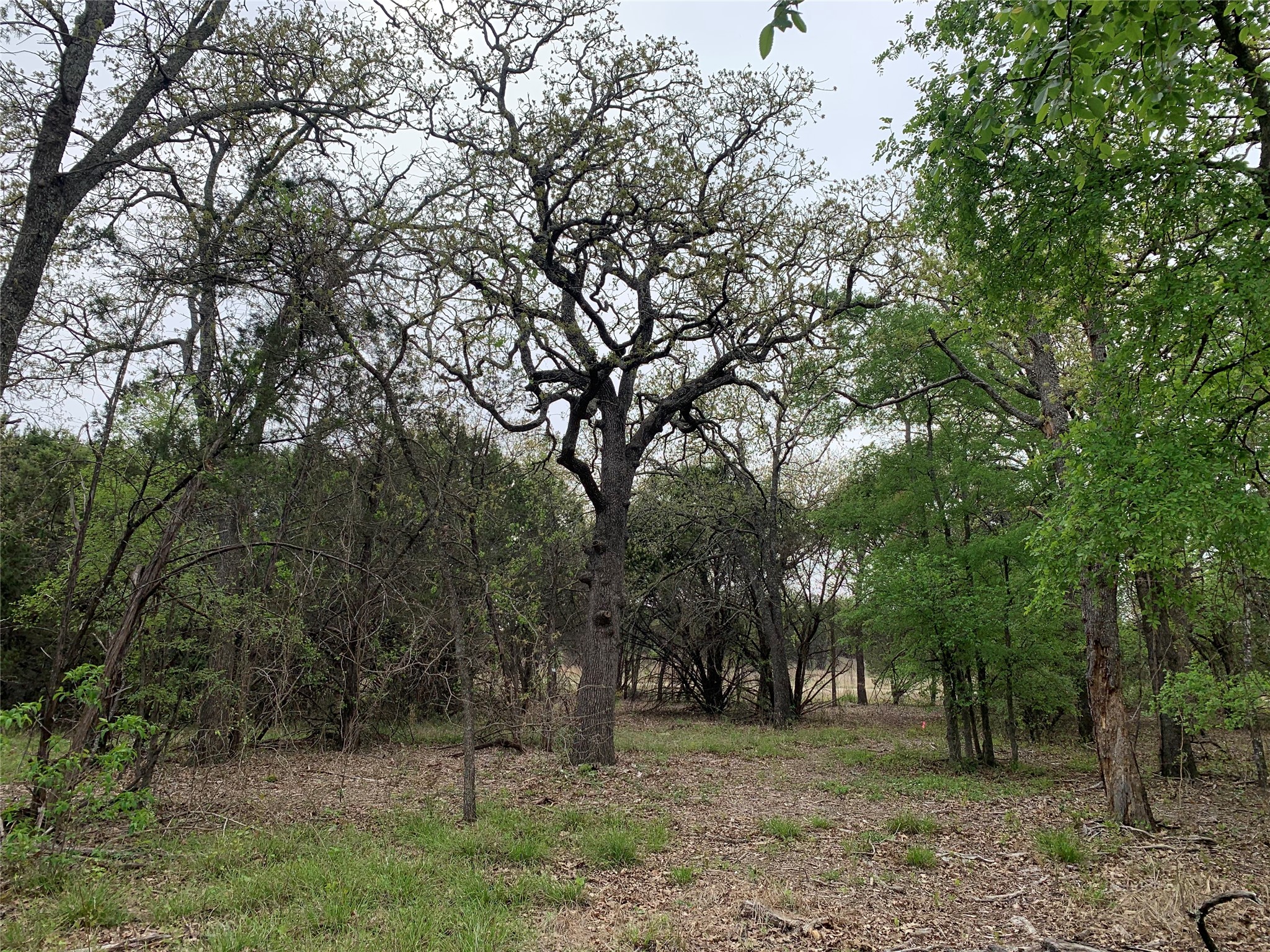 1039 Creek Crossing Road Nemo TX 76070