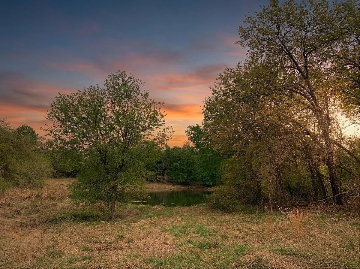 1039 Creek Crossing Road Nemo TX 76070