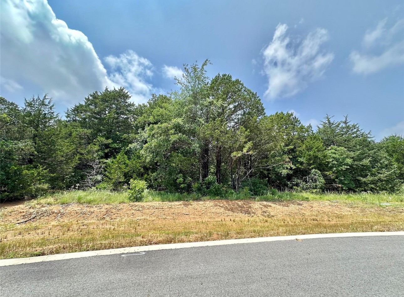137 Whispering Pine Drive Gordonville TX 76245