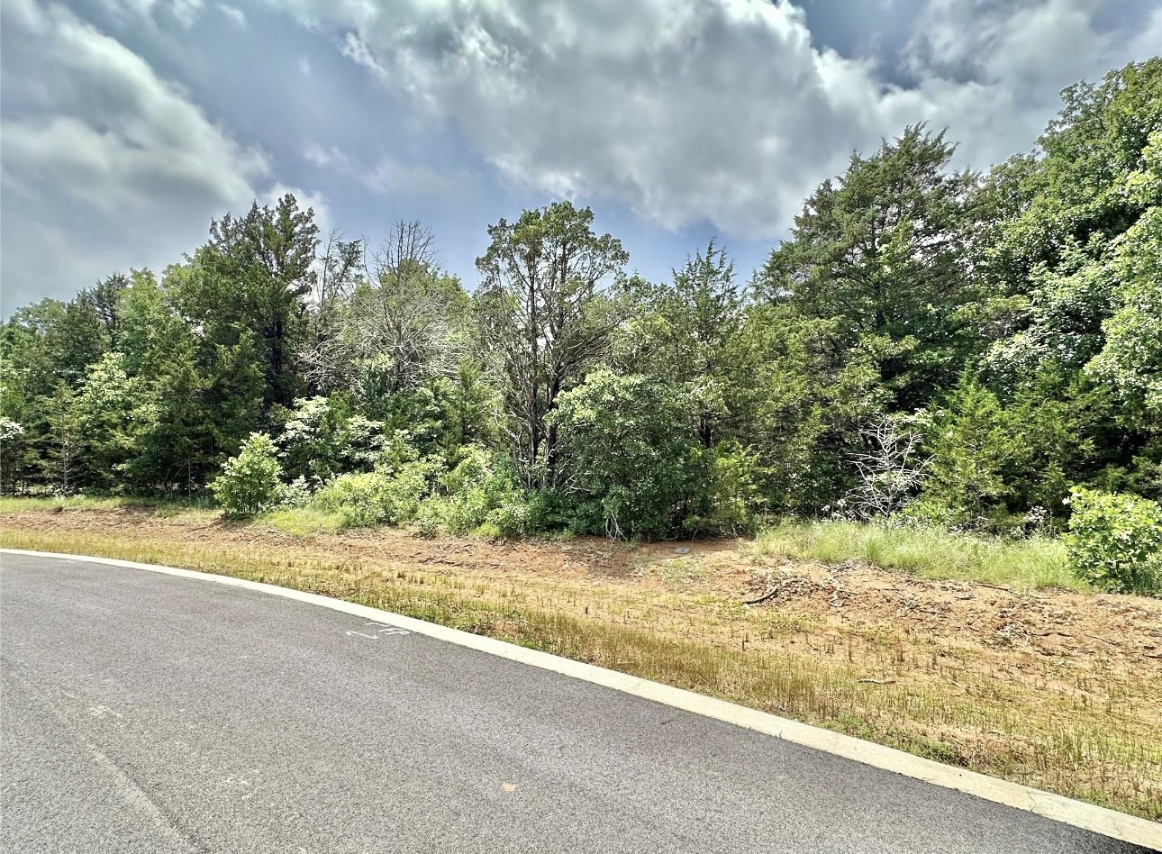 137 Whispering Pine Drive Gordonville TX 76245