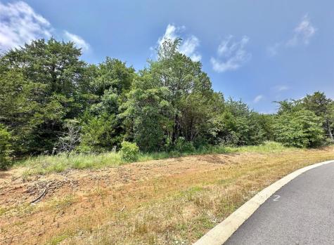 137 Whispering Pine Drive Gordonville TX 76245