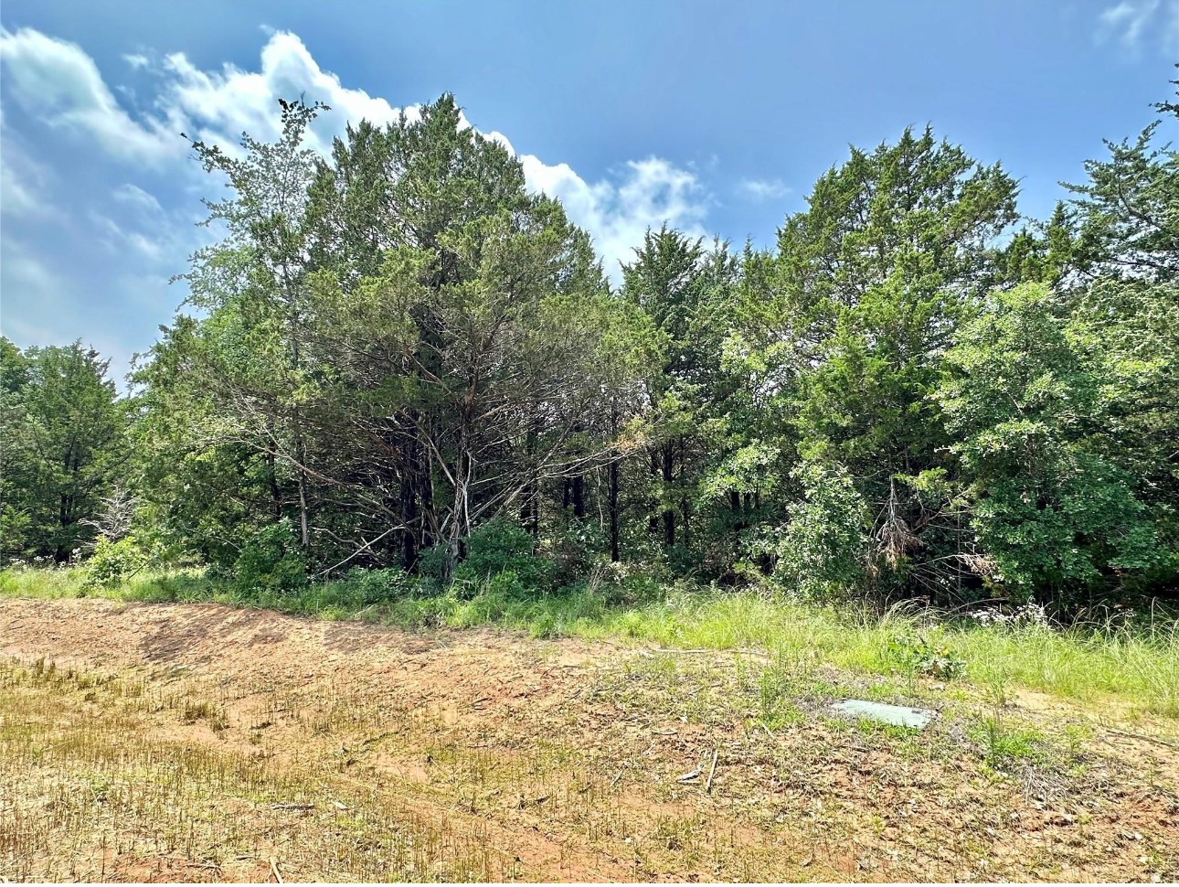 137 Whispering Pine Drive Gordonville TX 76245