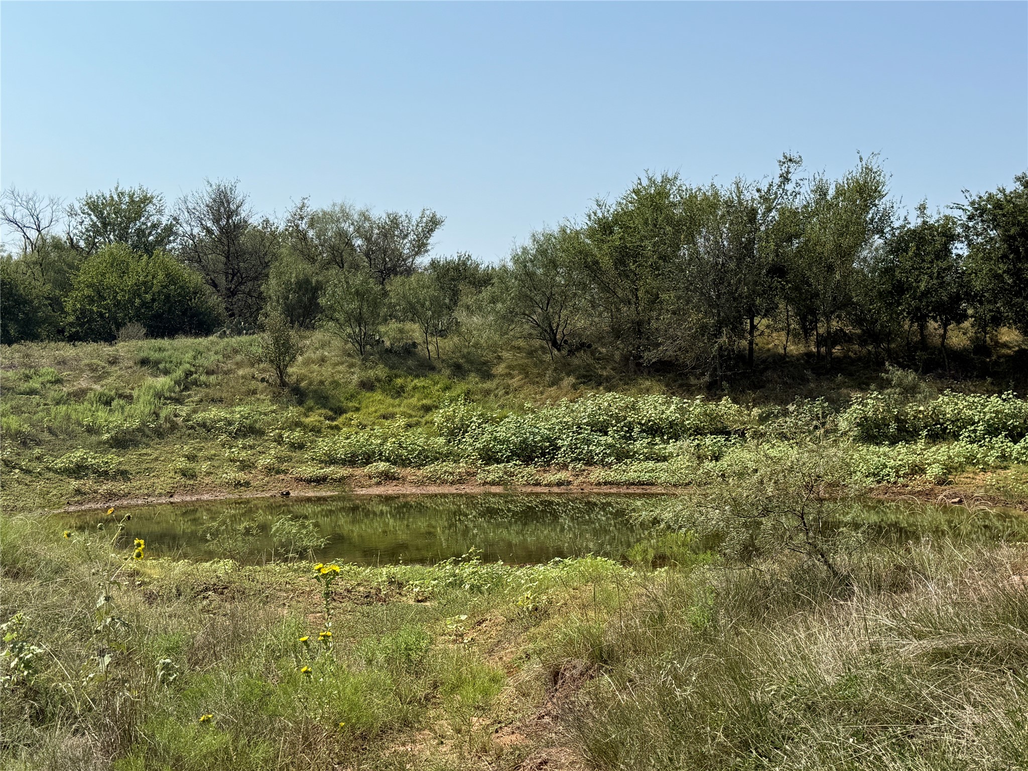 0000 Proffitt Road Newcastle TX 76372