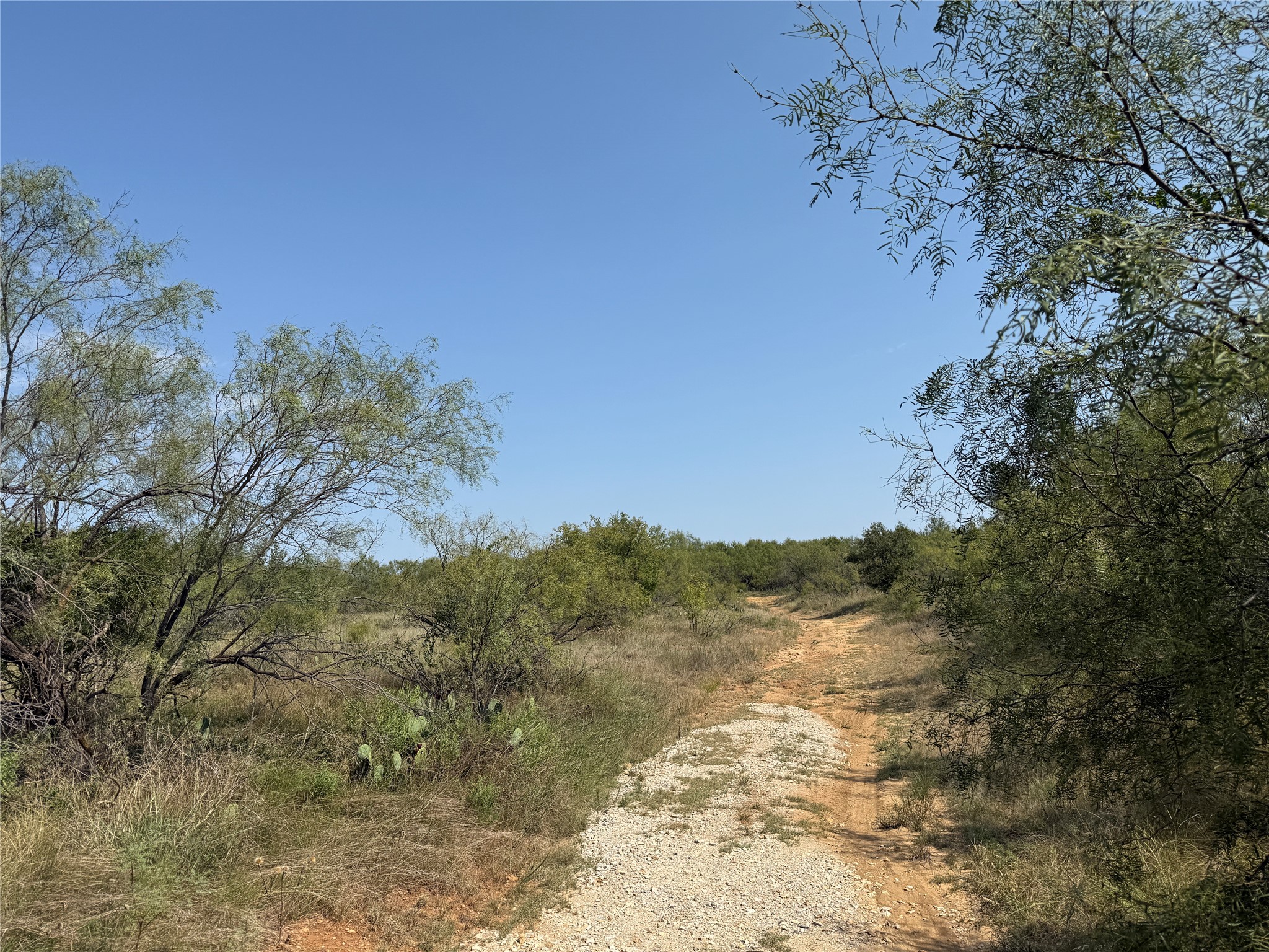 0000 Proffitt Road Newcastle TX 76372