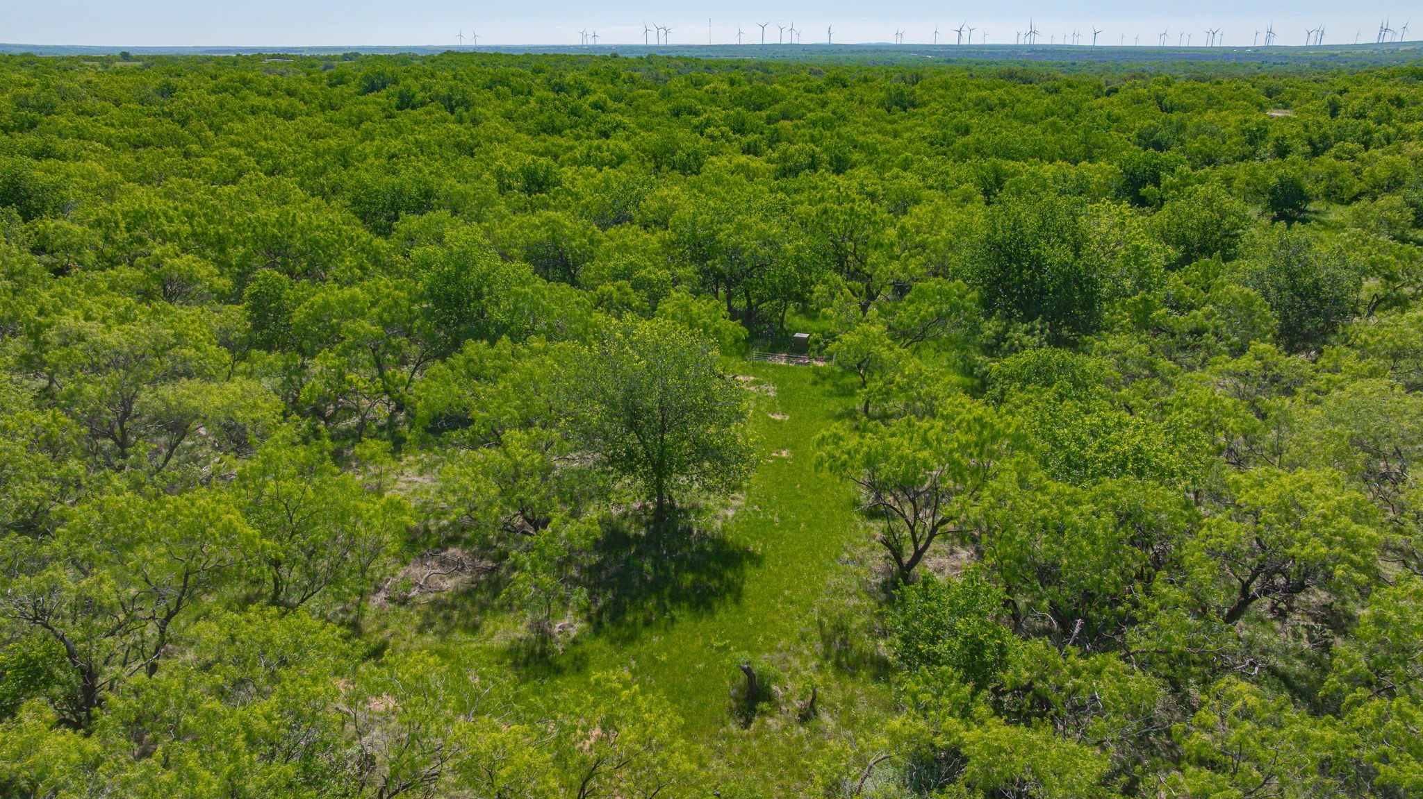 0000 Proffitt Road Newcastle TX 76372