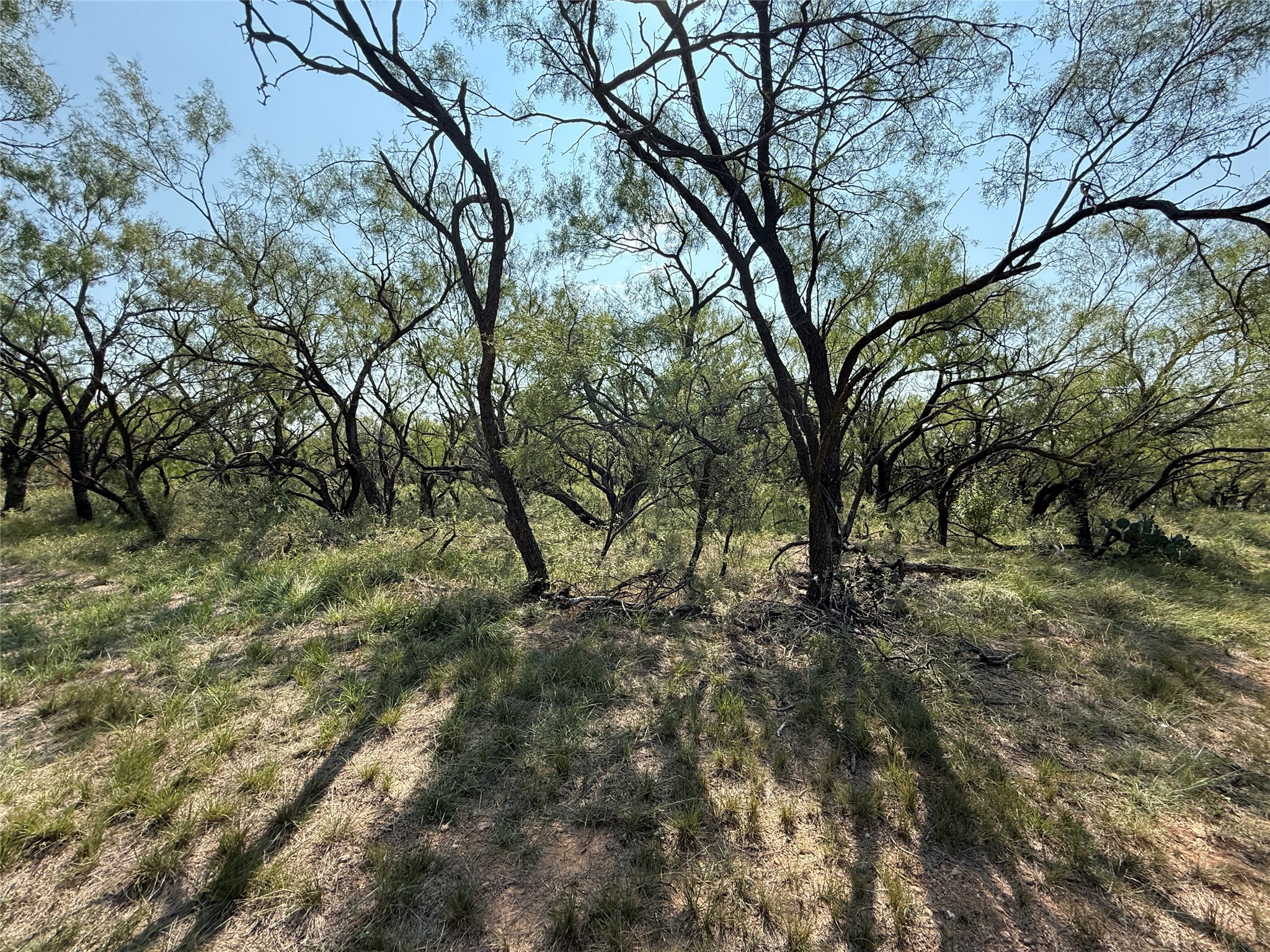 0000 Proffitt Road Newcastle TX 76372