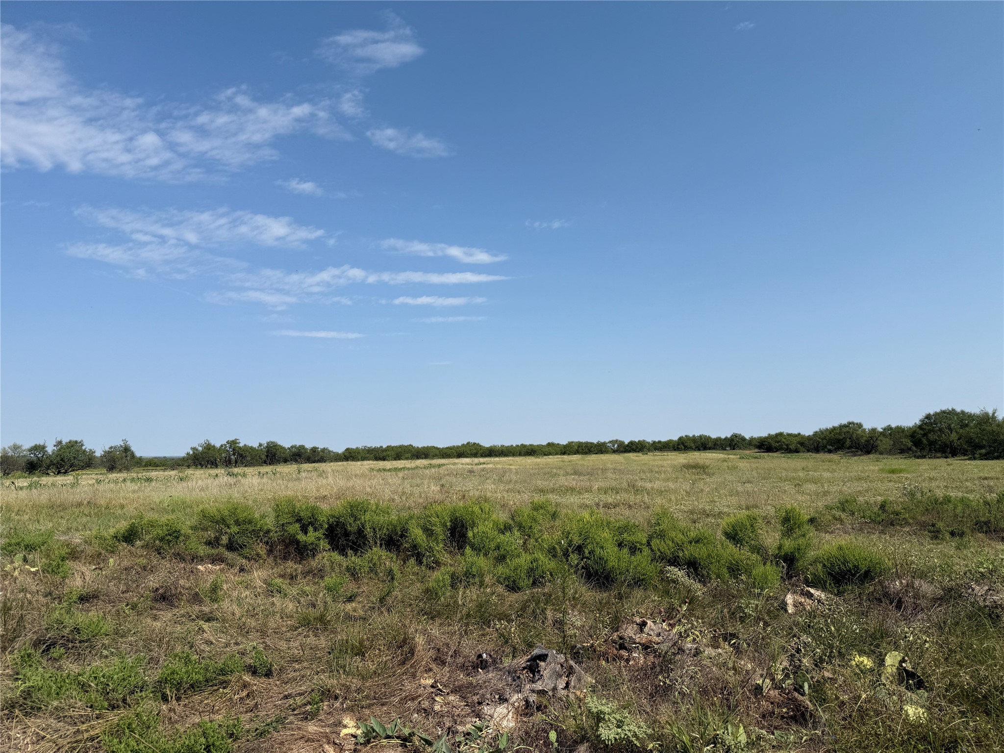 0000 Proffitt Road Newcastle TX 76372