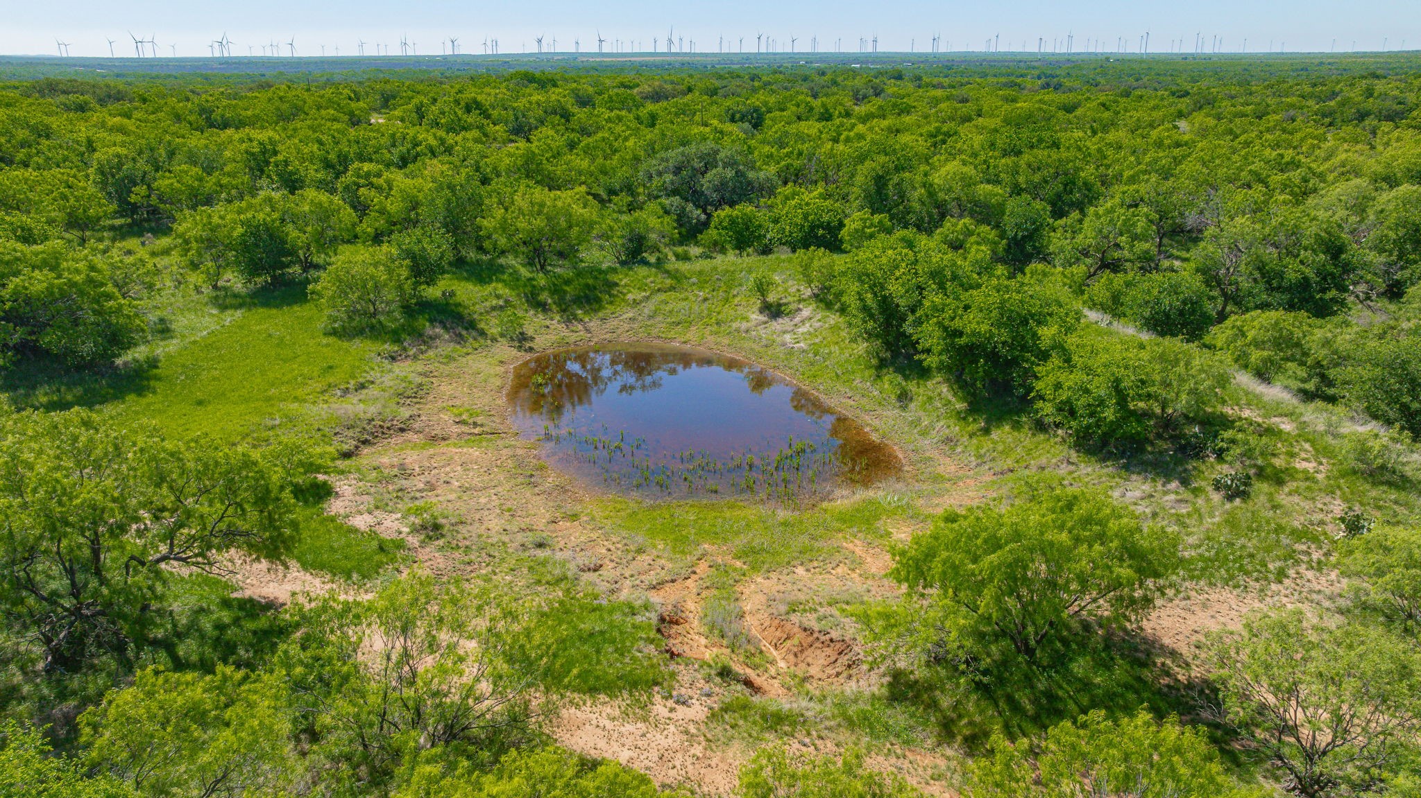 0000 Proffitt Road Newcastle TX 76372