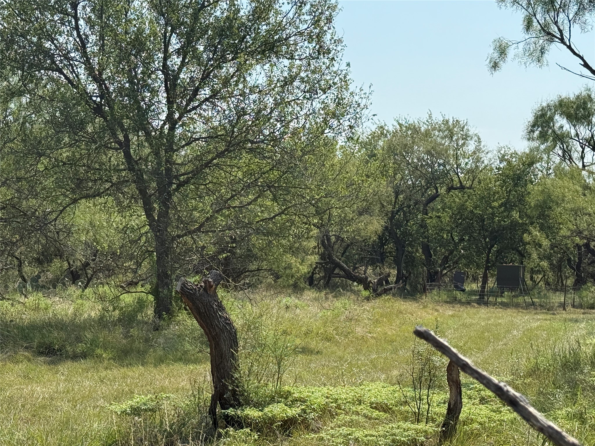 0000 Proffitt Road Newcastle TX 76372