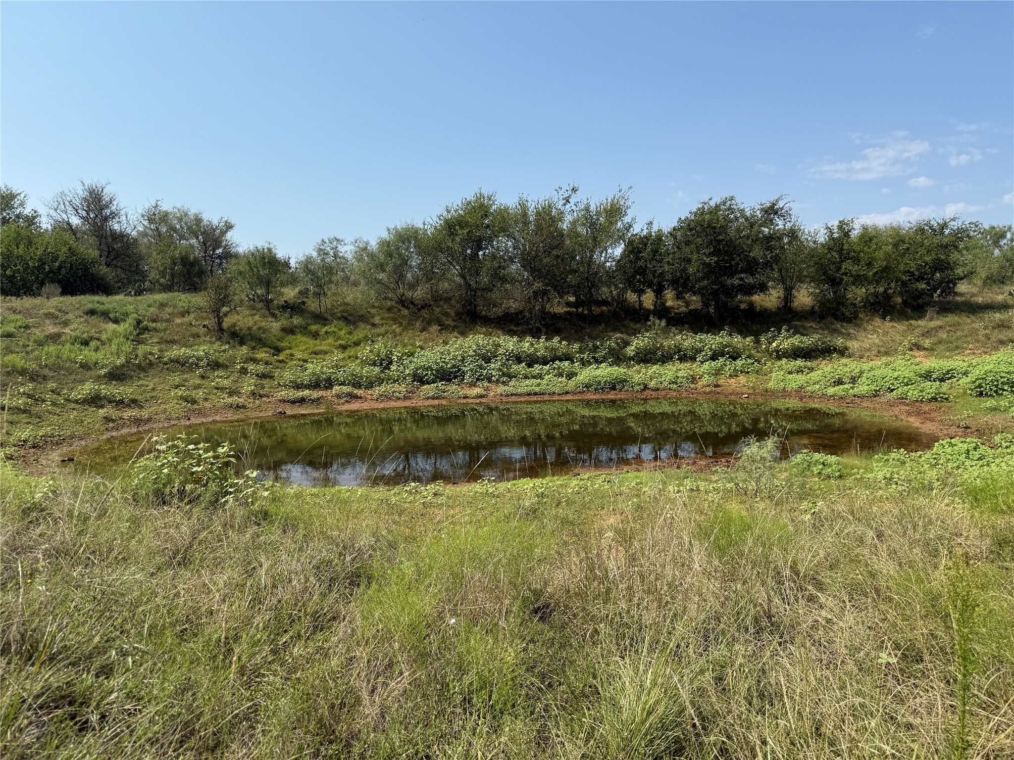 0000 Proffitt Road Newcastle TX 76372