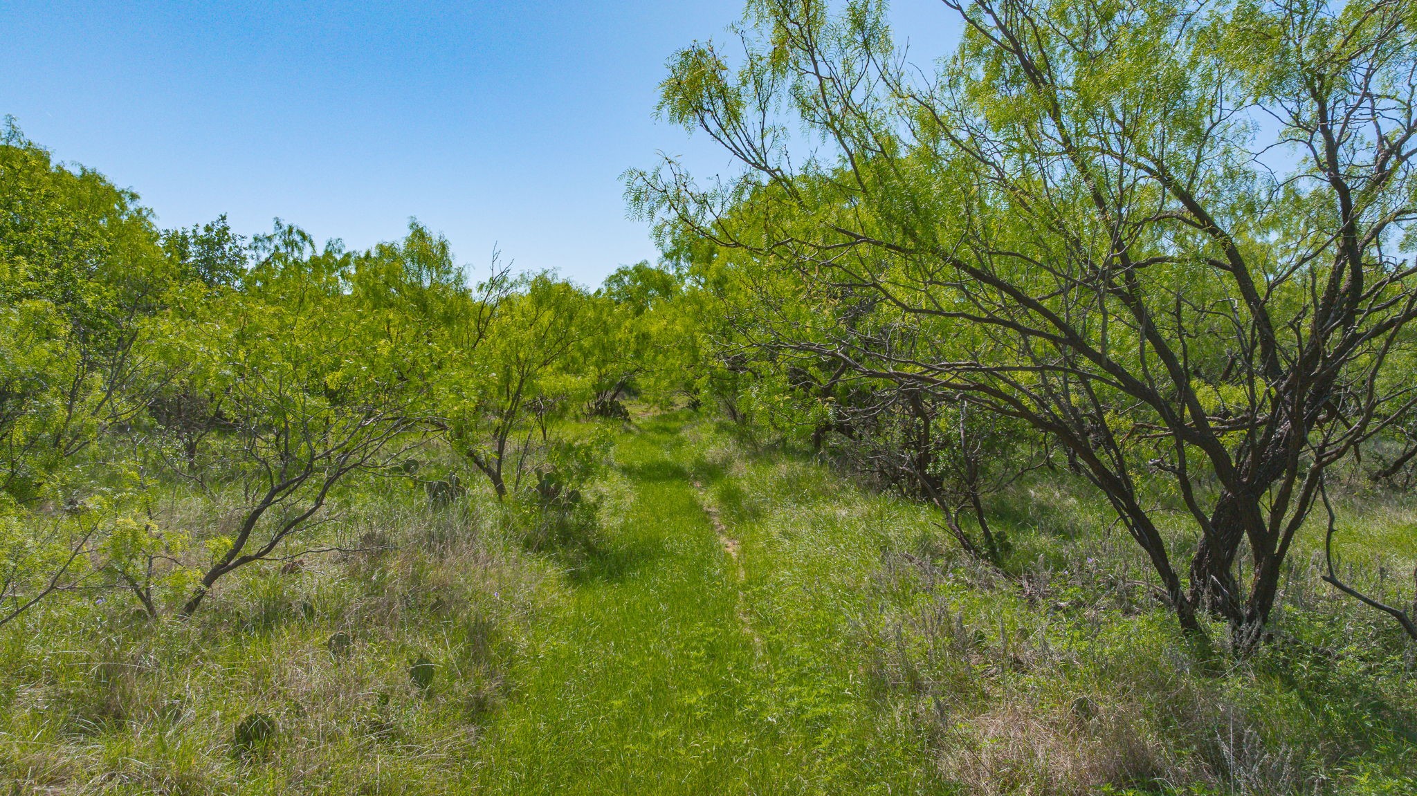 0000 Proffitt Road Newcastle TX 76372