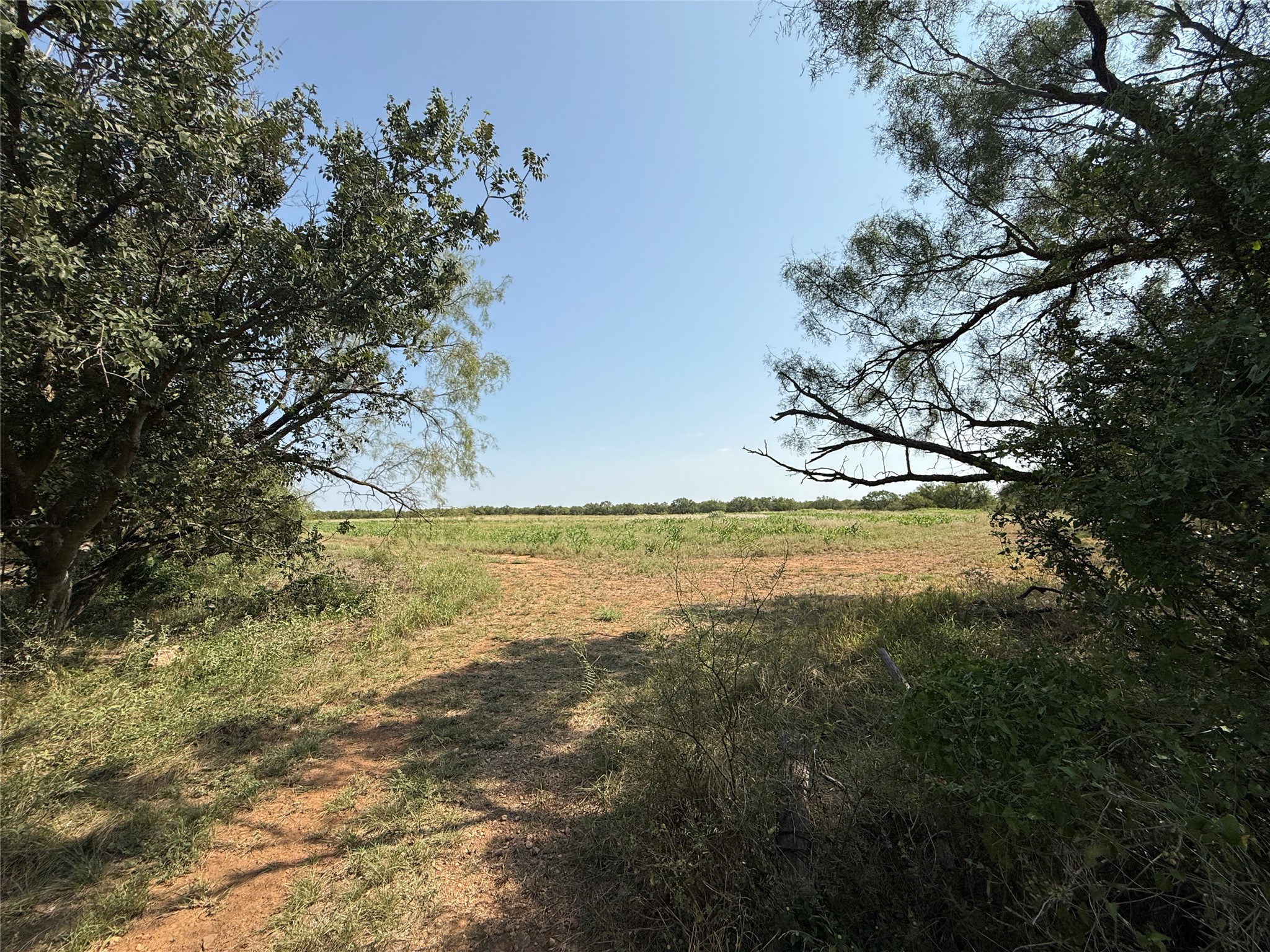 0000 Proffitt Road Newcastle TX 76372