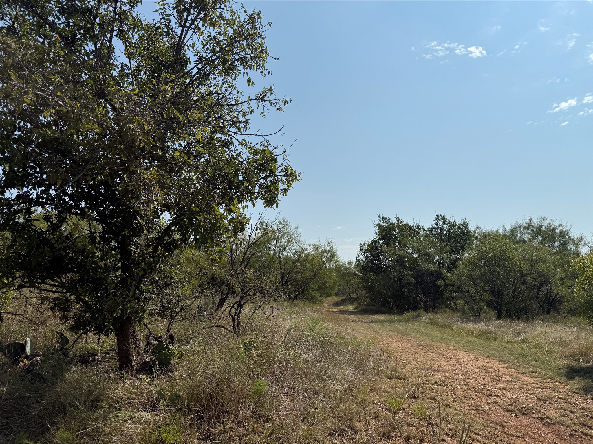 0000 Proffitt Road Newcastle TX 76372