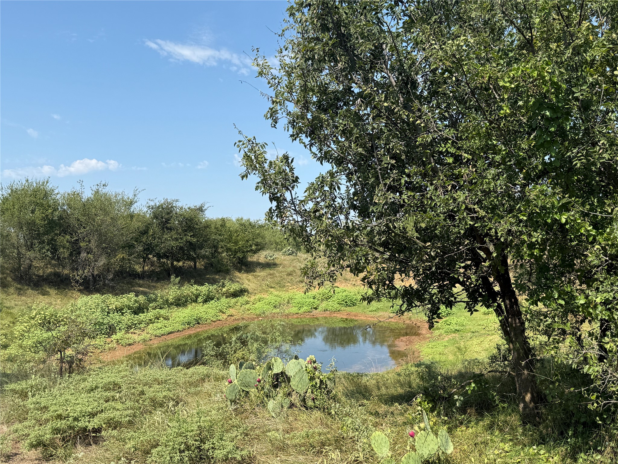 0000 Proffitt Road Newcastle TX 76372