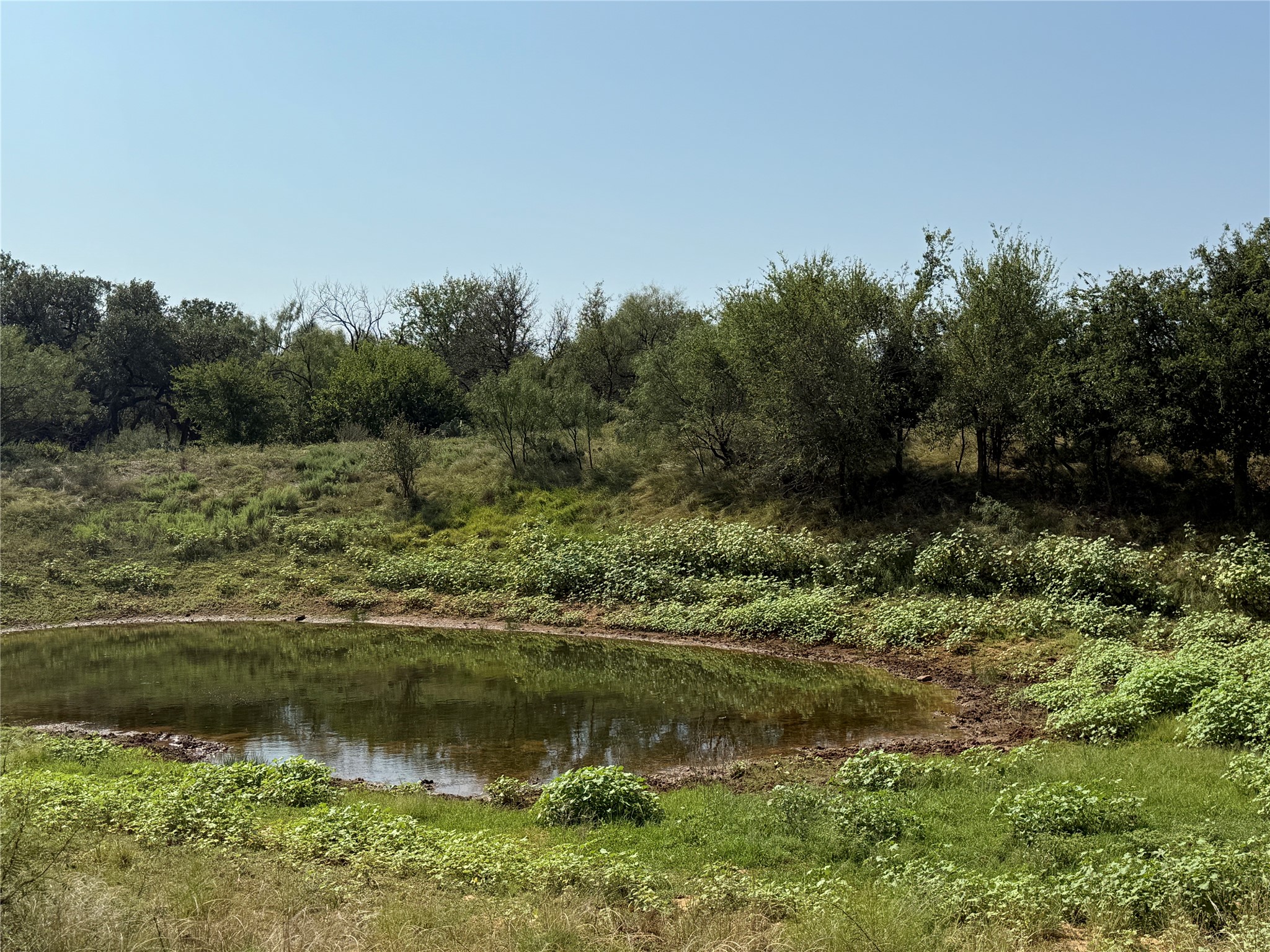 0000 Proffitt Road Newcastle TX 76372