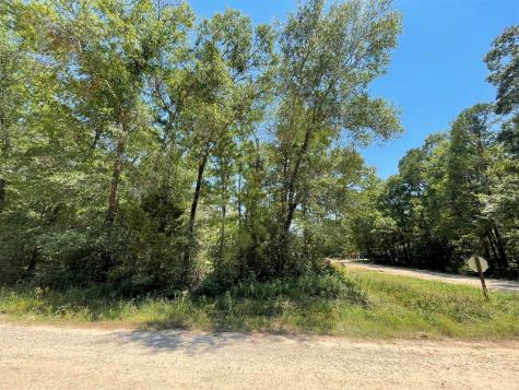 Lot 101 Ithica Livingston TX 77351
